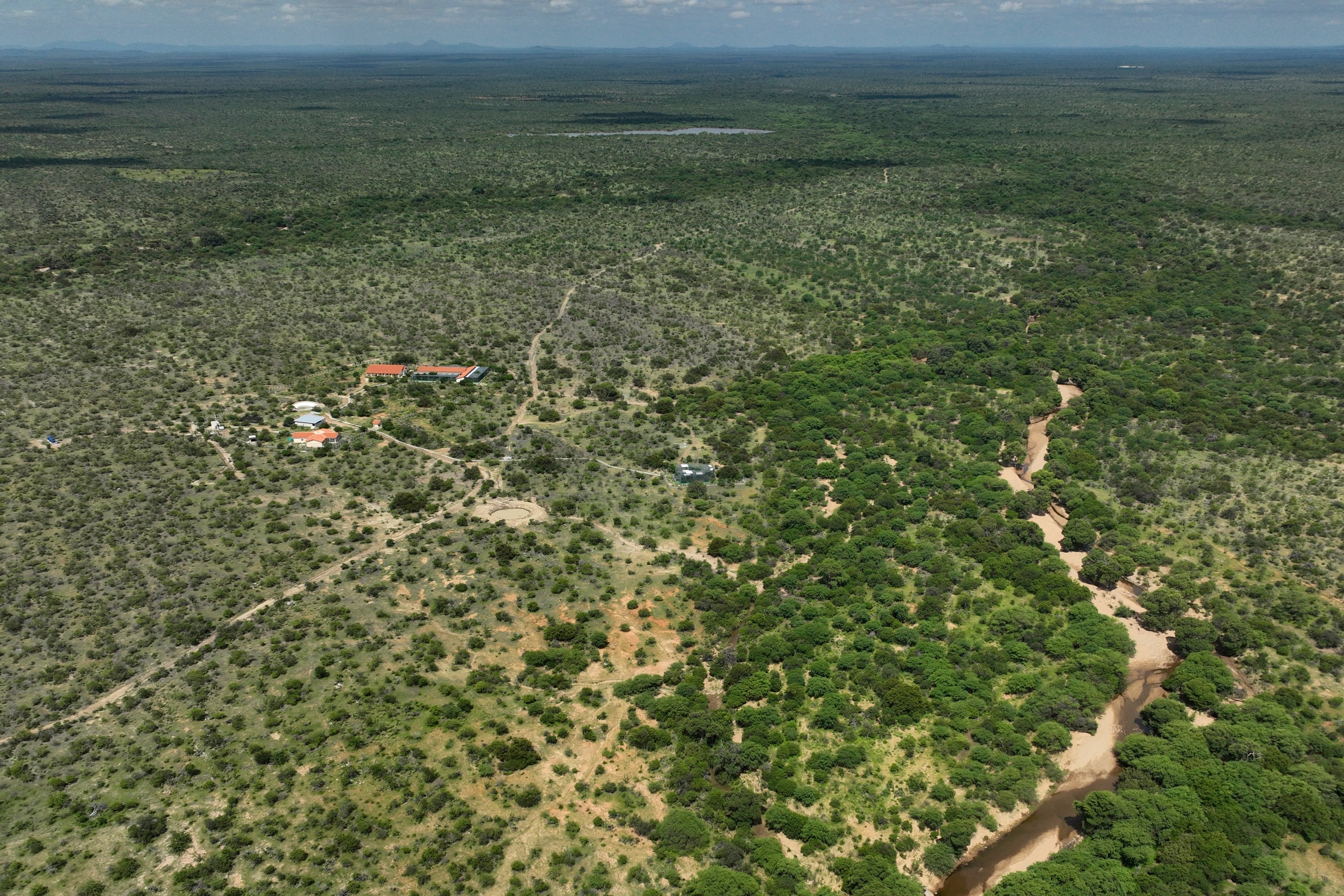 Climate Brazil Spixs Macaw