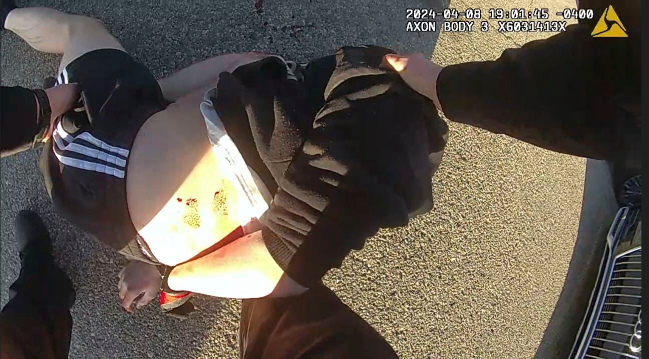 Fatal Chase Michigan