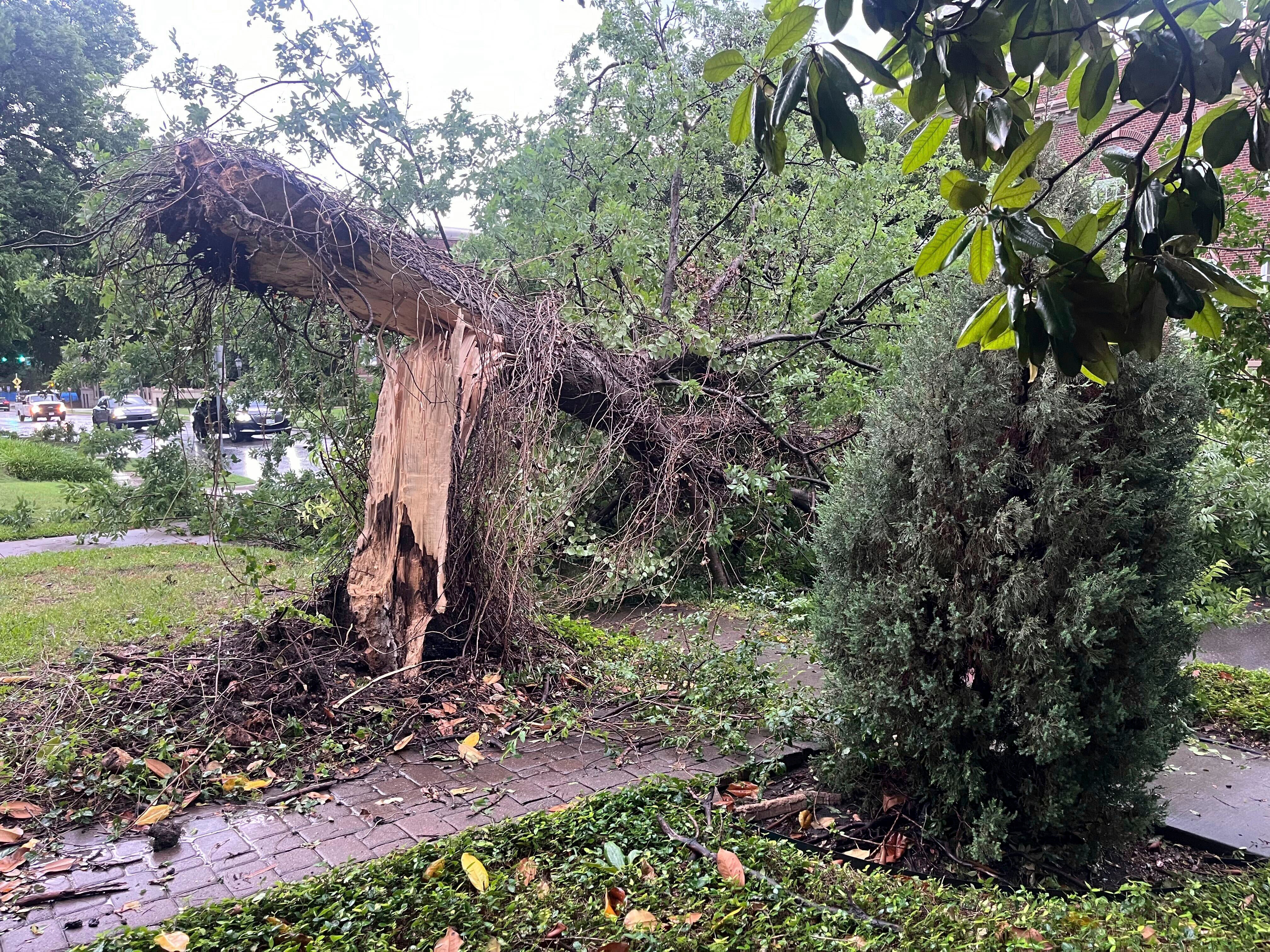 Thunderstorms throughout Texas knocked down power lines and trees, including at University Park in Dallas