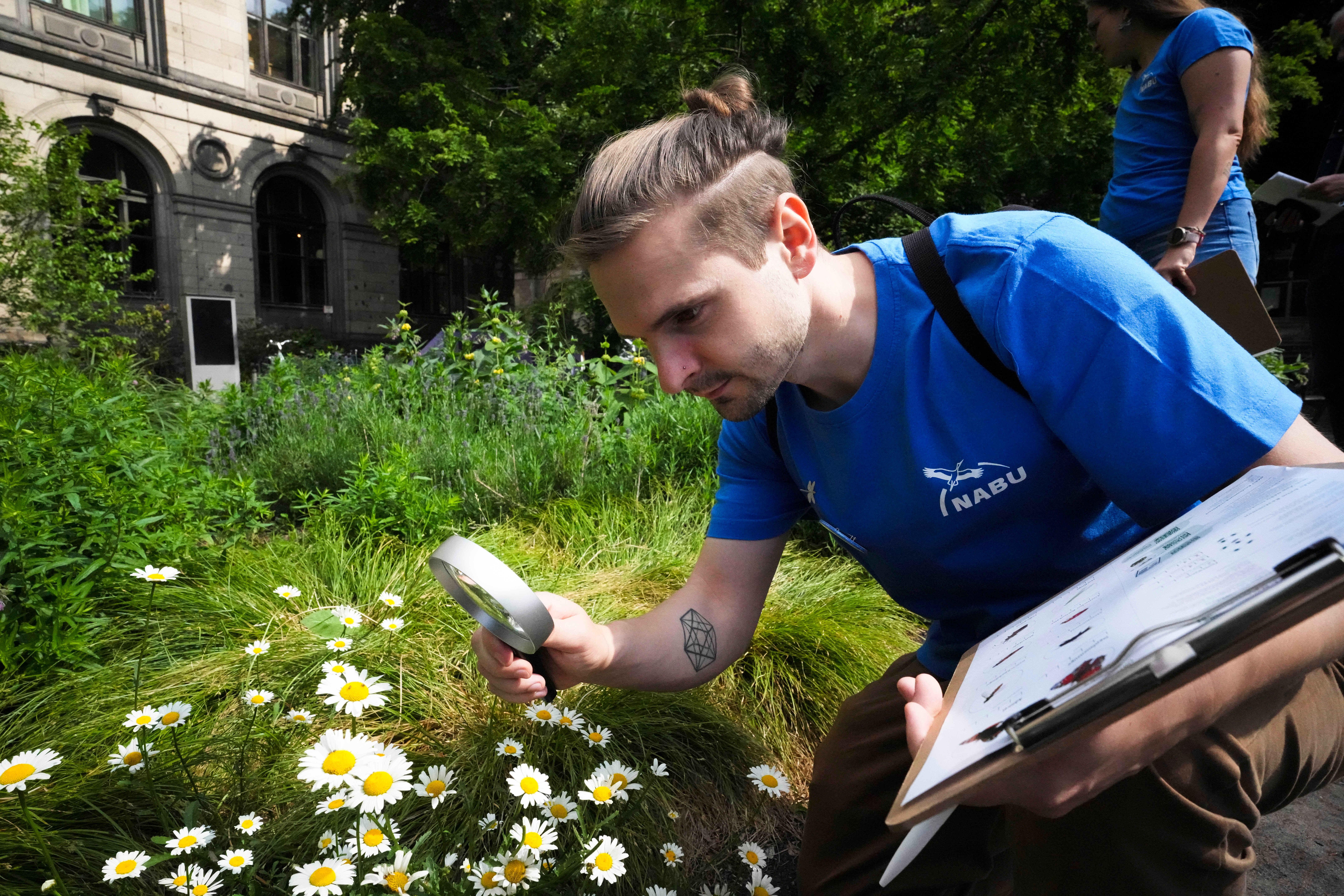 Germany Counting Insects Photo Gallery