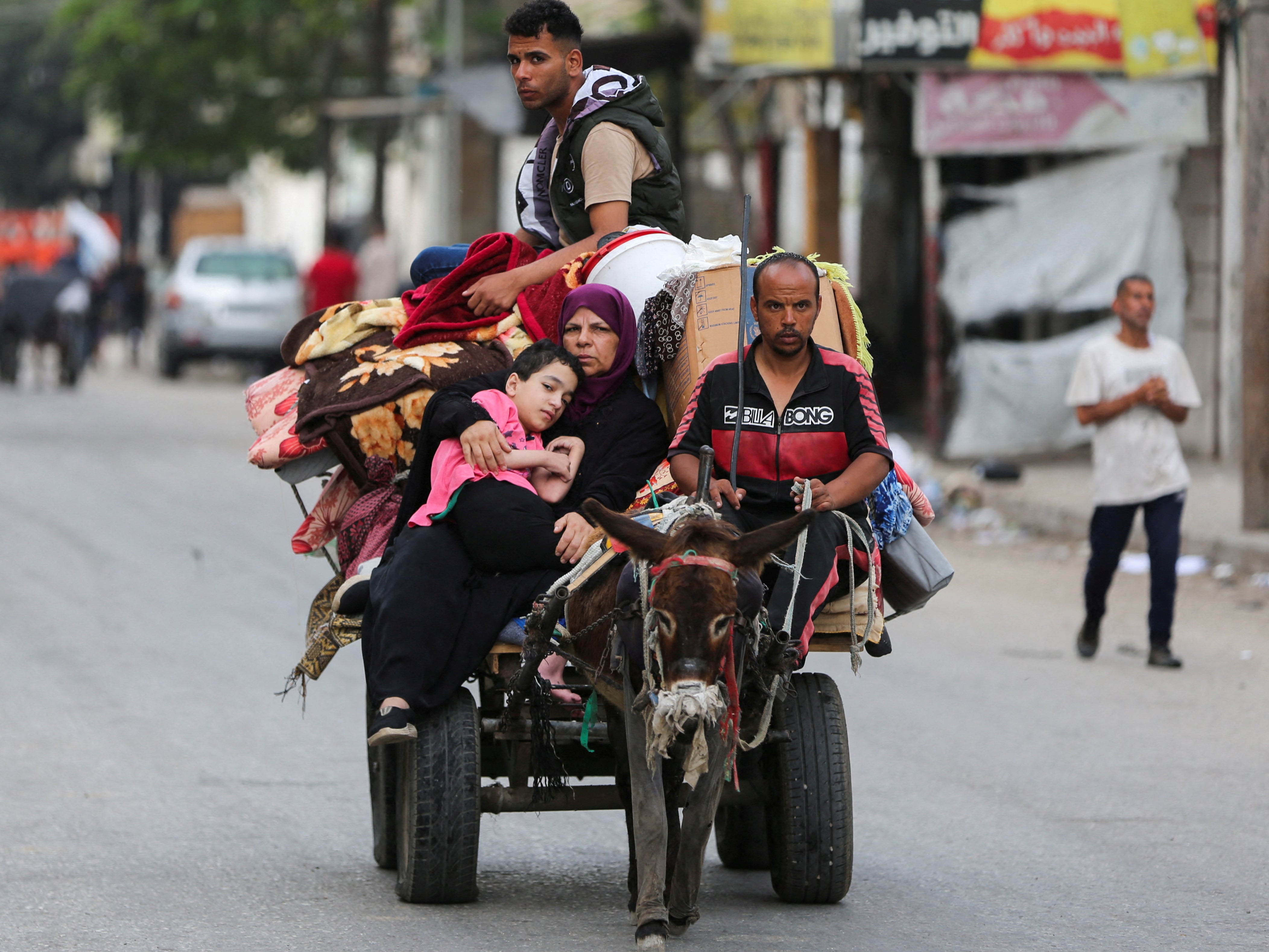 Donkeys are used to carry people away from the fighting