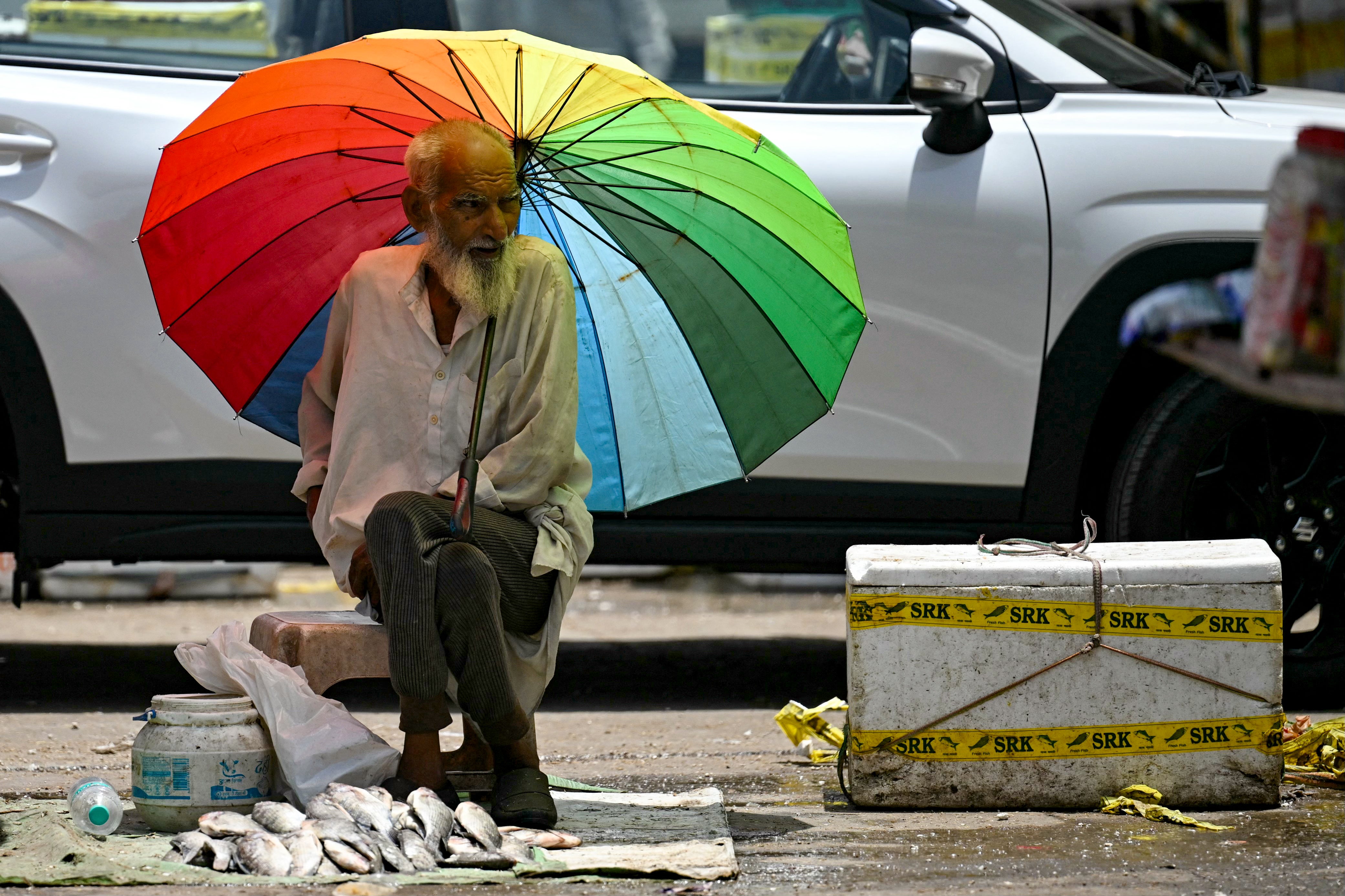 A fish vendor waiting for customers takes shade under an umbrella on a hot summer afternoon in Delhi