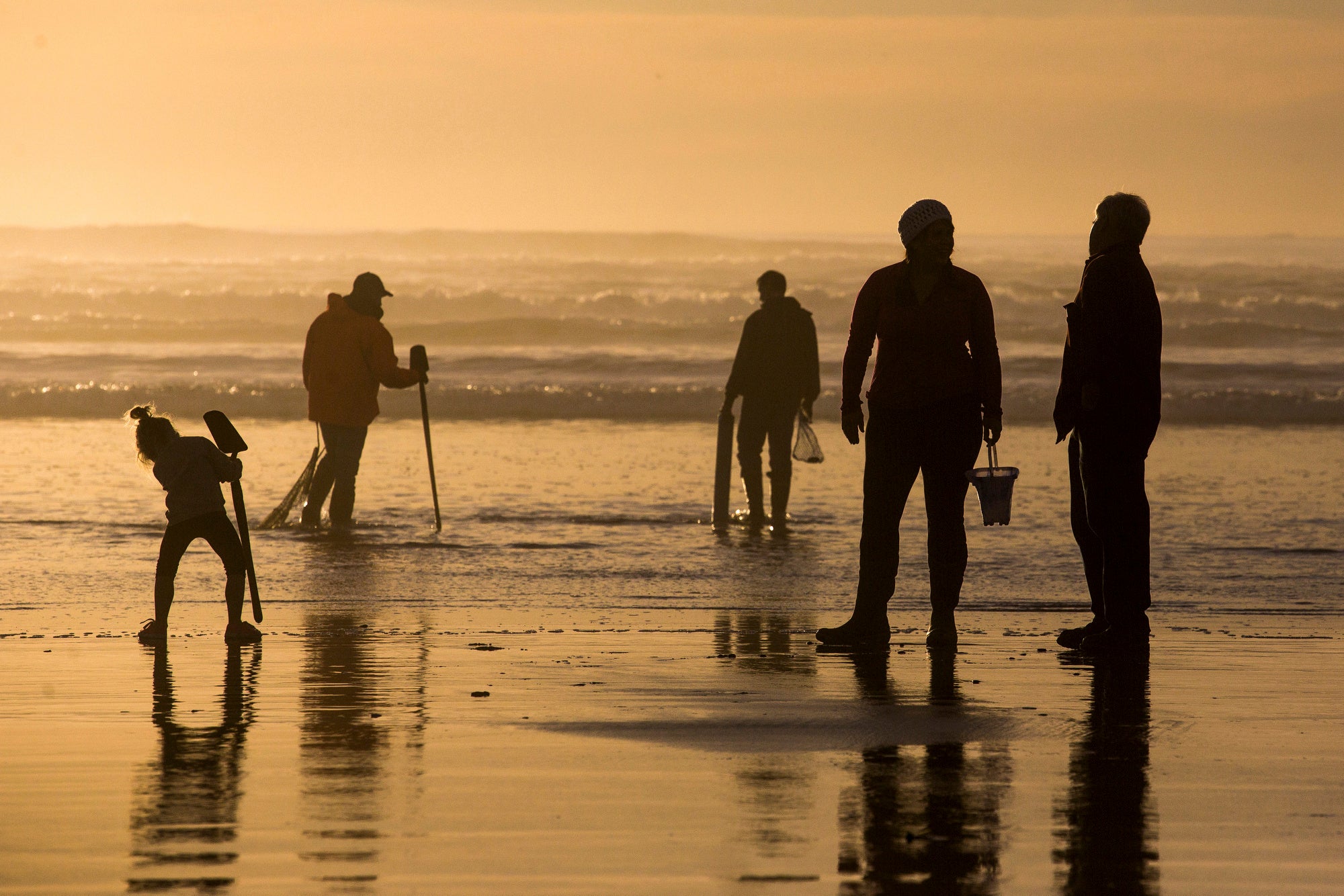 Oregon Shellfish Poisoning