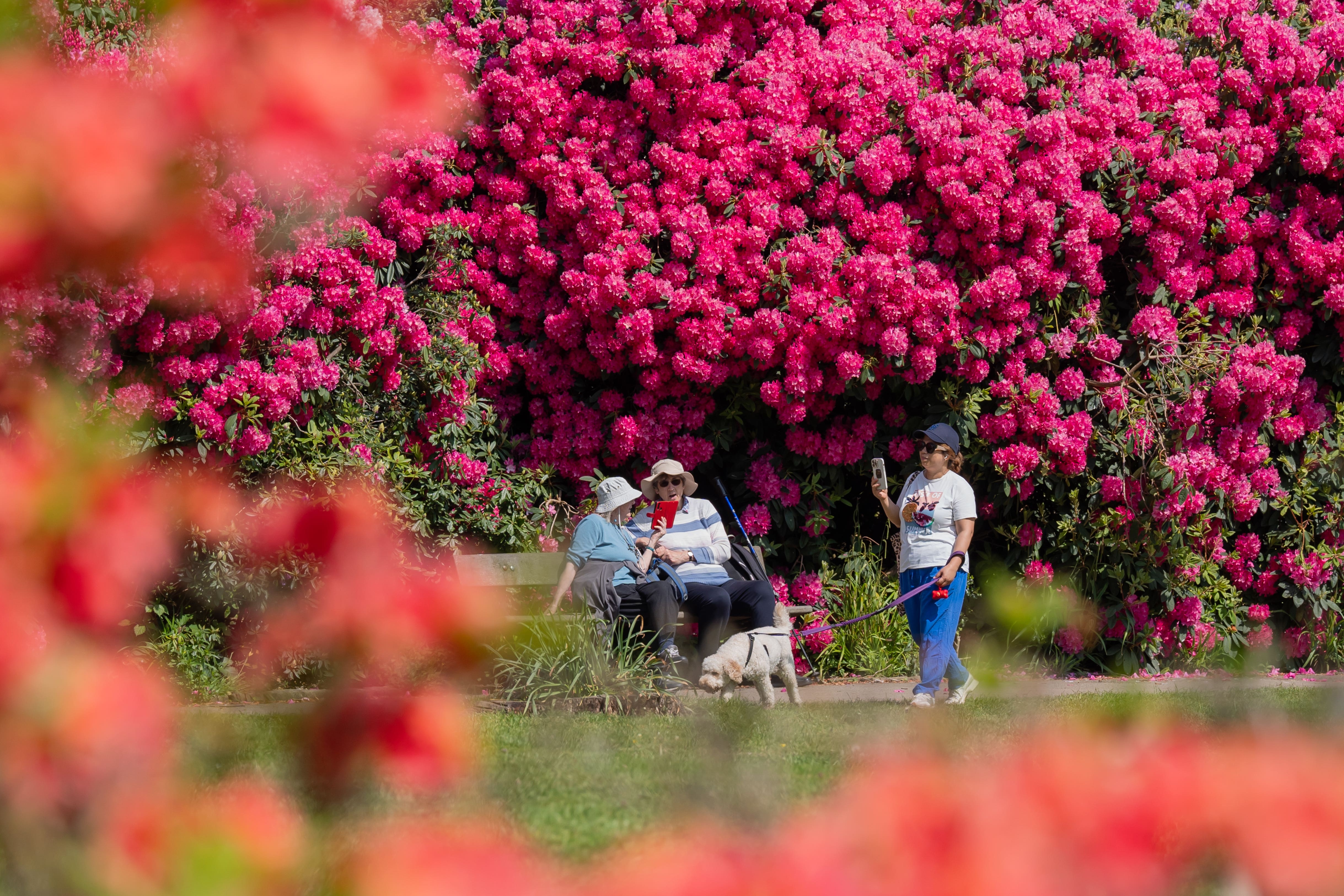 It has been the warmest May on record for the UK, according to the Met Office (Danny Lawson/PA)