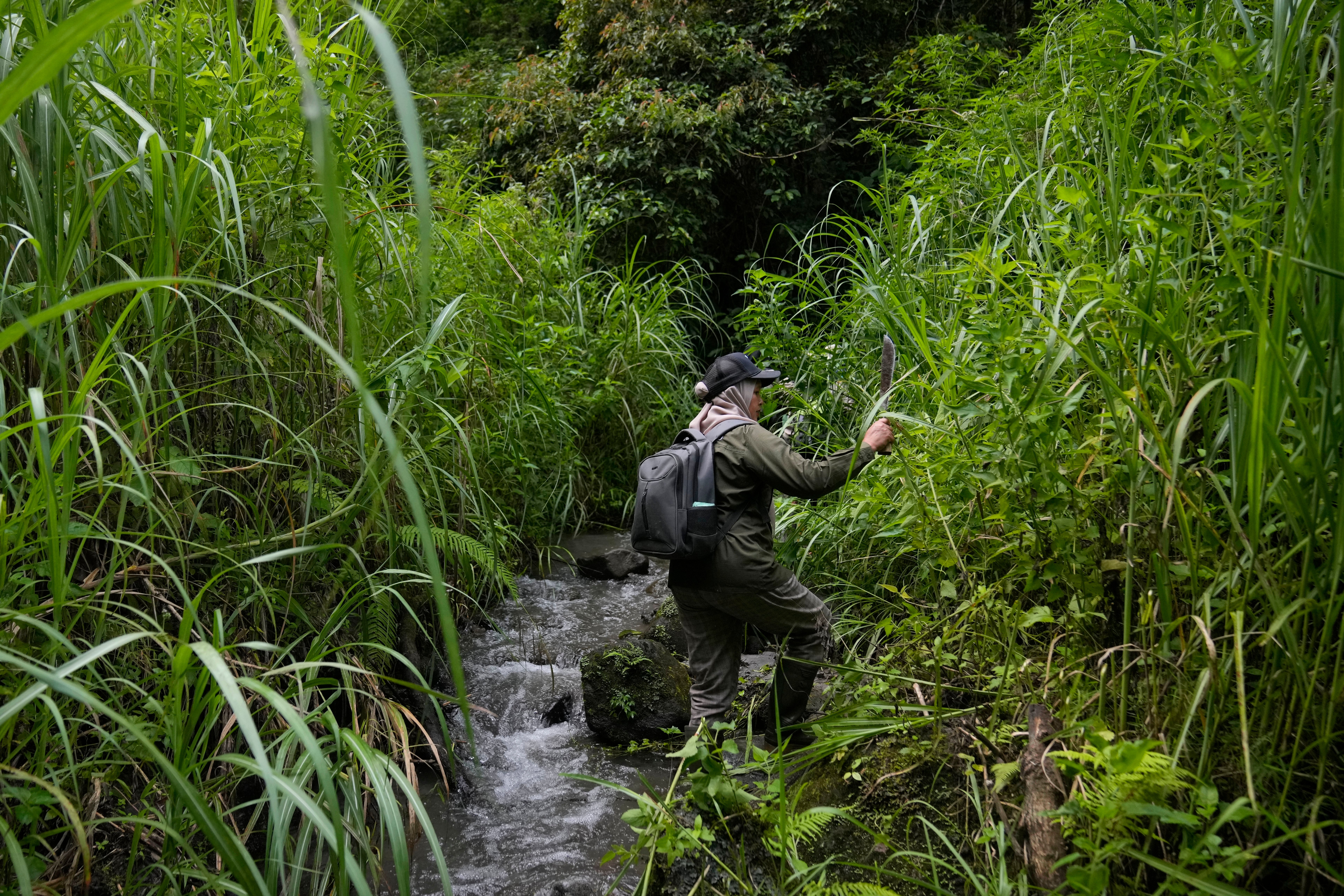 Indonesia Deforestation Female Rangers