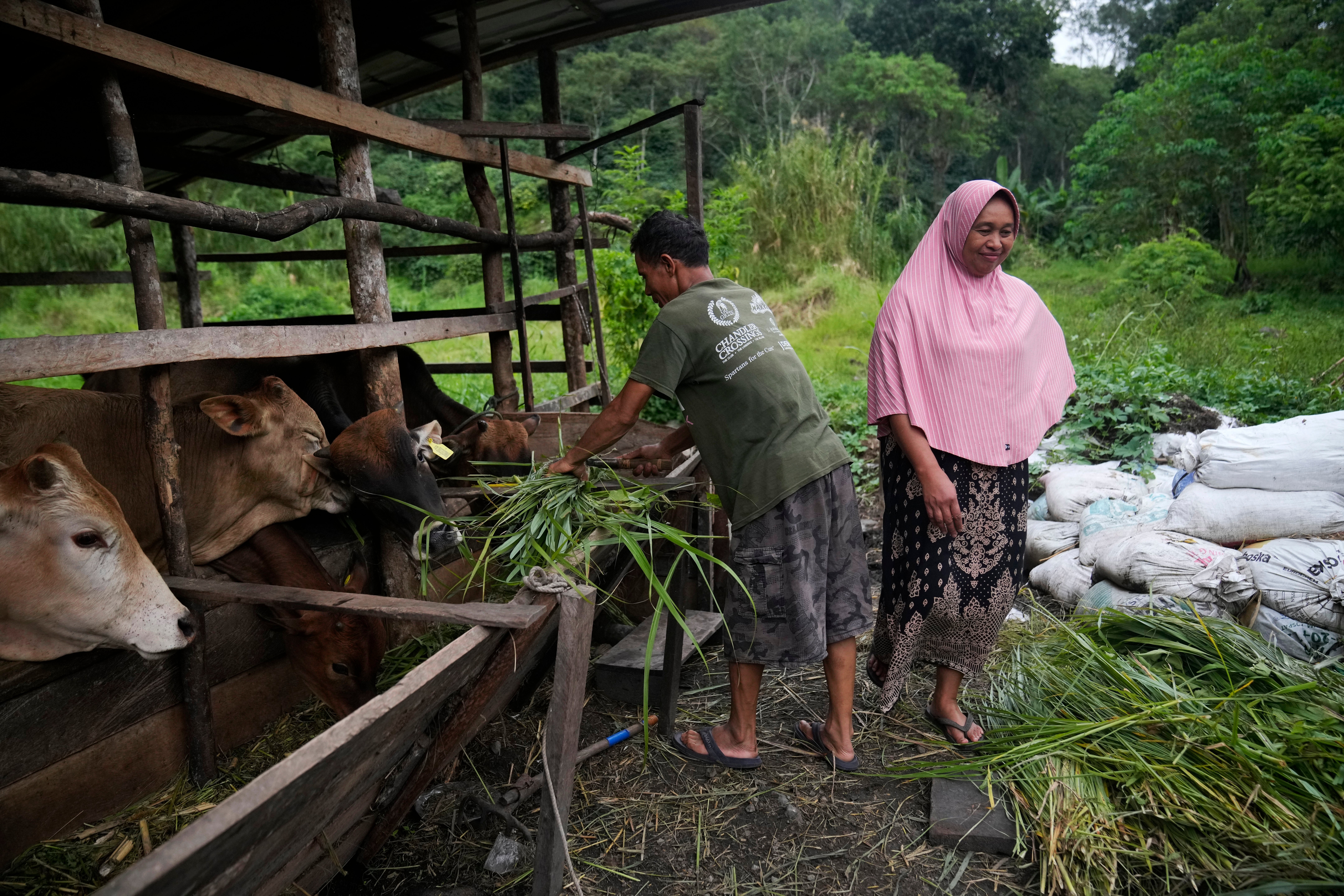 Indonesia Deforestation Female Rangers