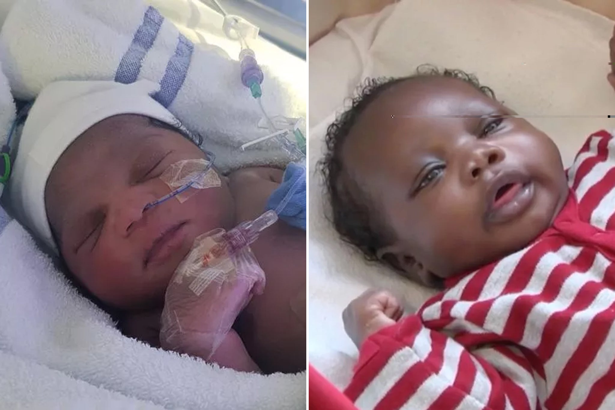 Baby Roman (left) and Baby Harry are the sister and brother of Baby Elsa, who was found in a park in East Ham in January, it has emerged