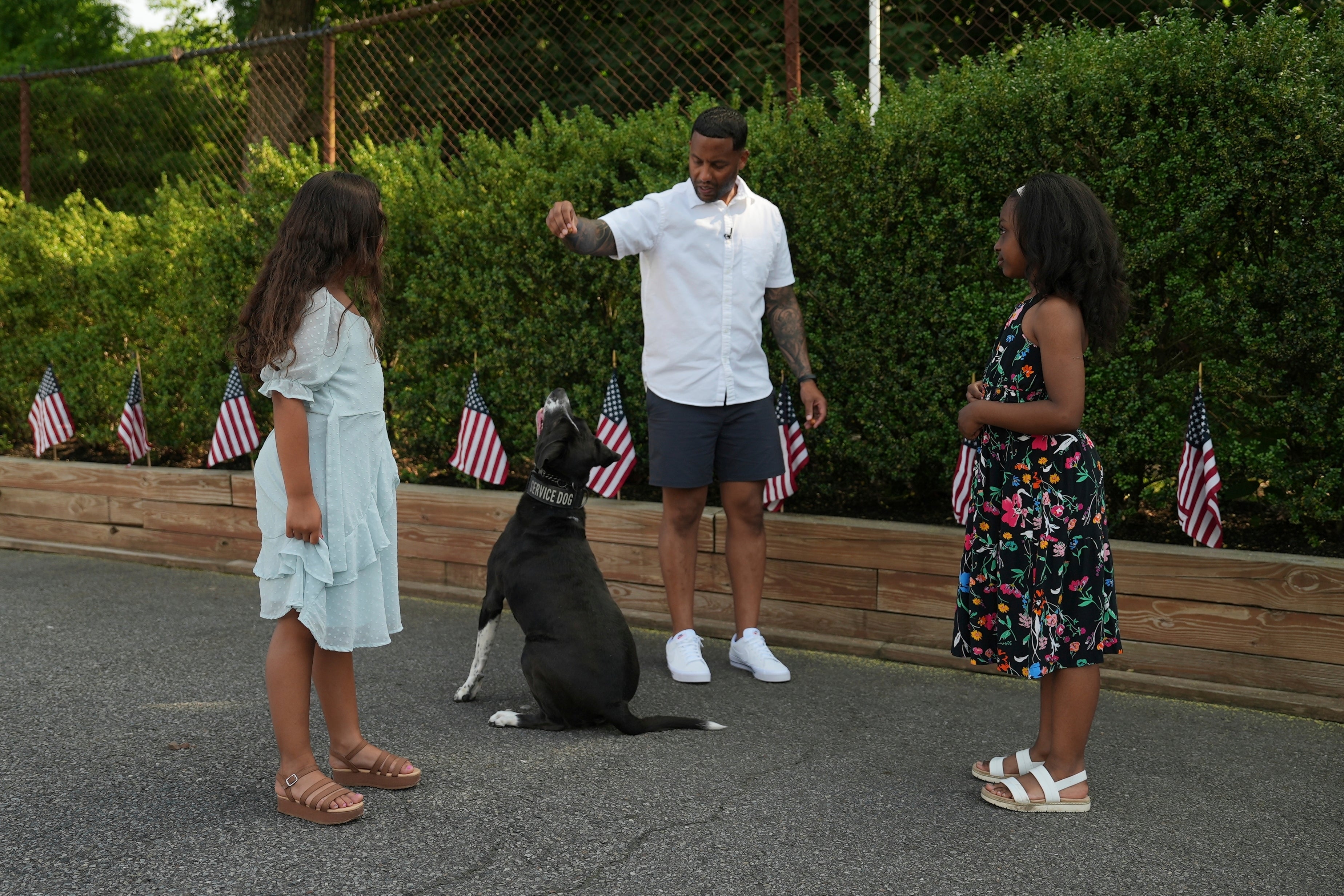 Service Dogs-Veterans PTSD