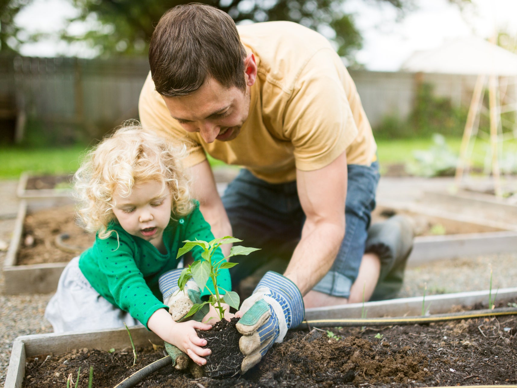 Cultivating the soil and tending to life can be socially beneficial, with many thriving in community gardening spaces that bond people with a common purpose