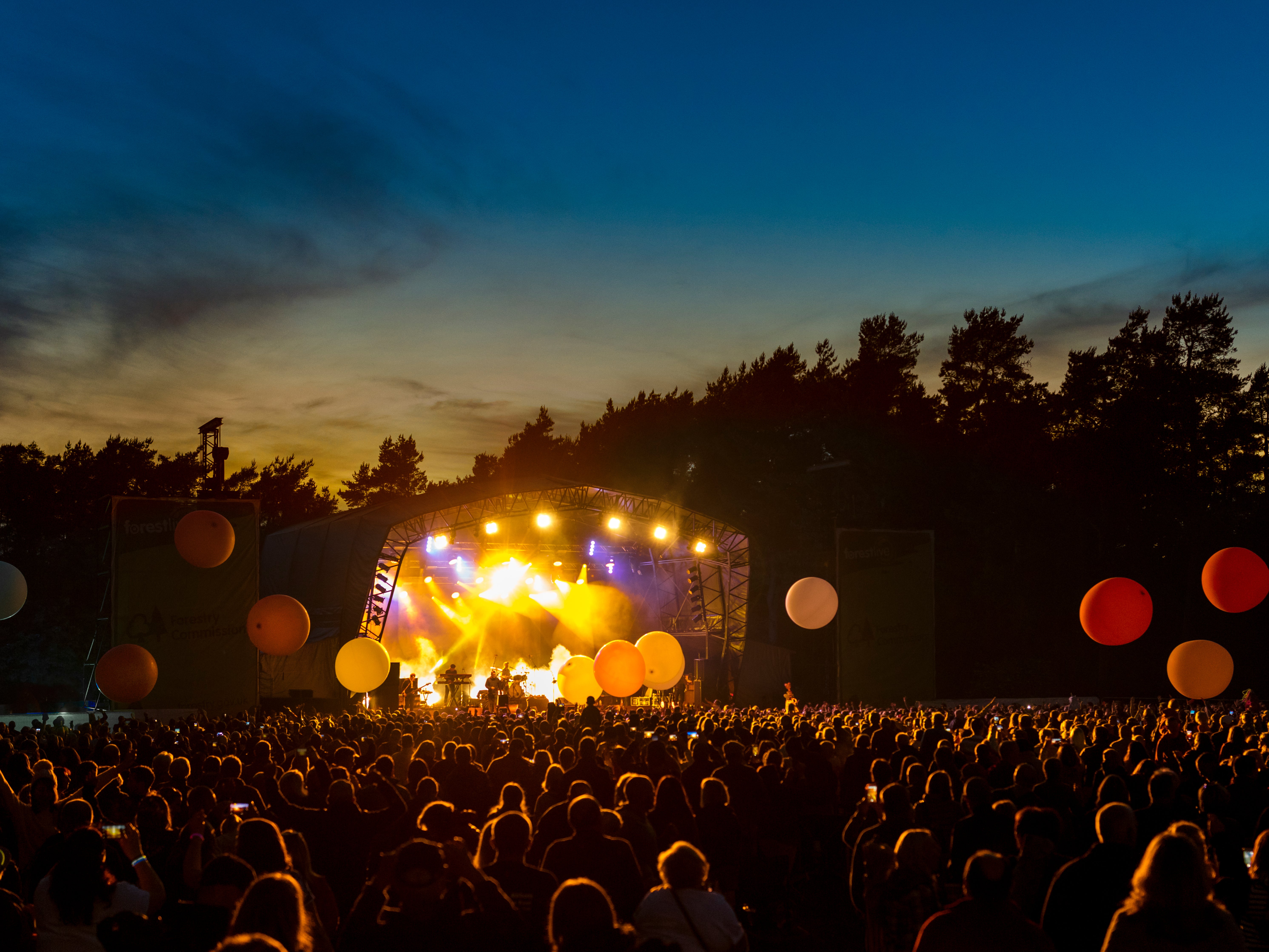 Nighttime at Forest Live festival