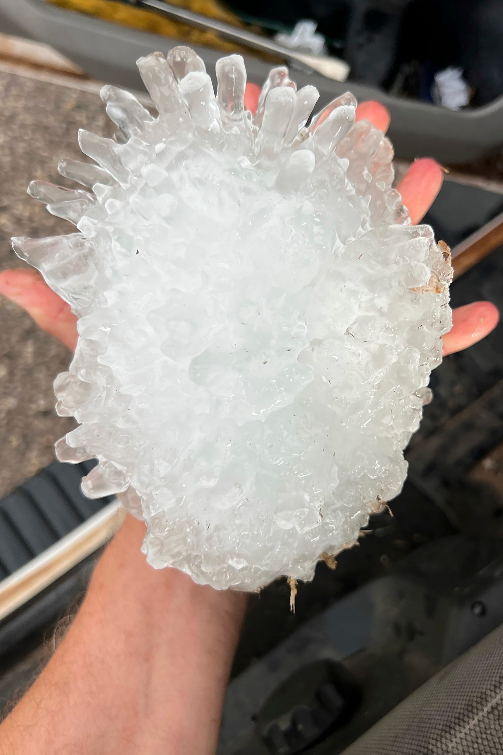 The National Weather Service in Lubbock, Texas, said they believe the stone, which measured more than 7 inches long, is a new state record