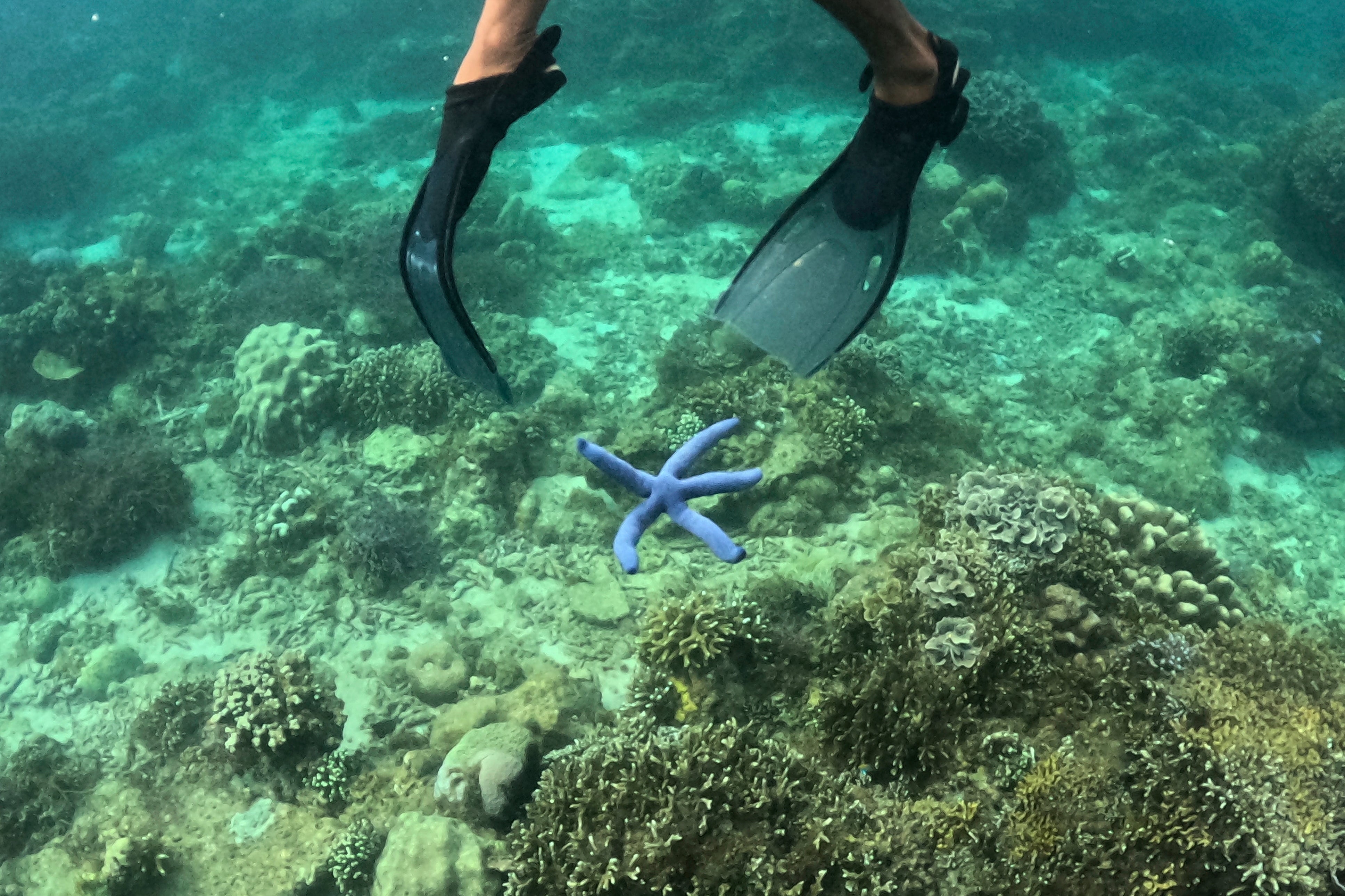 Philippines LNG Buildout