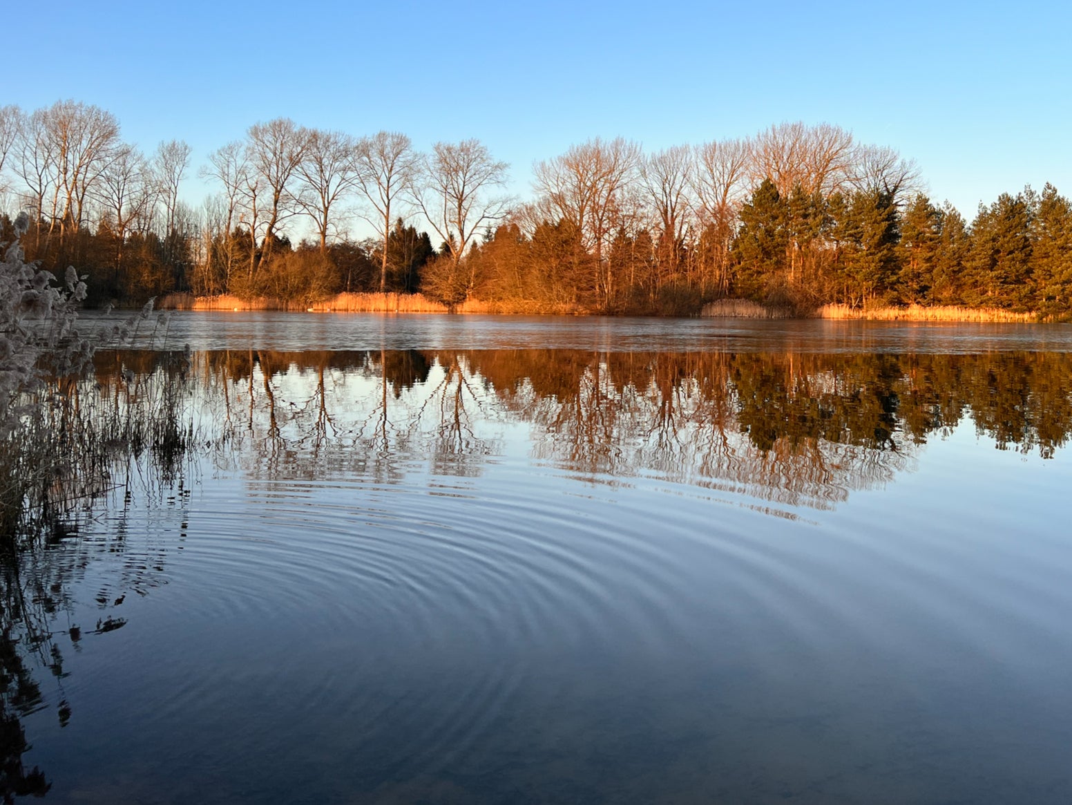 The River Wissey could be contamined, it’s feared