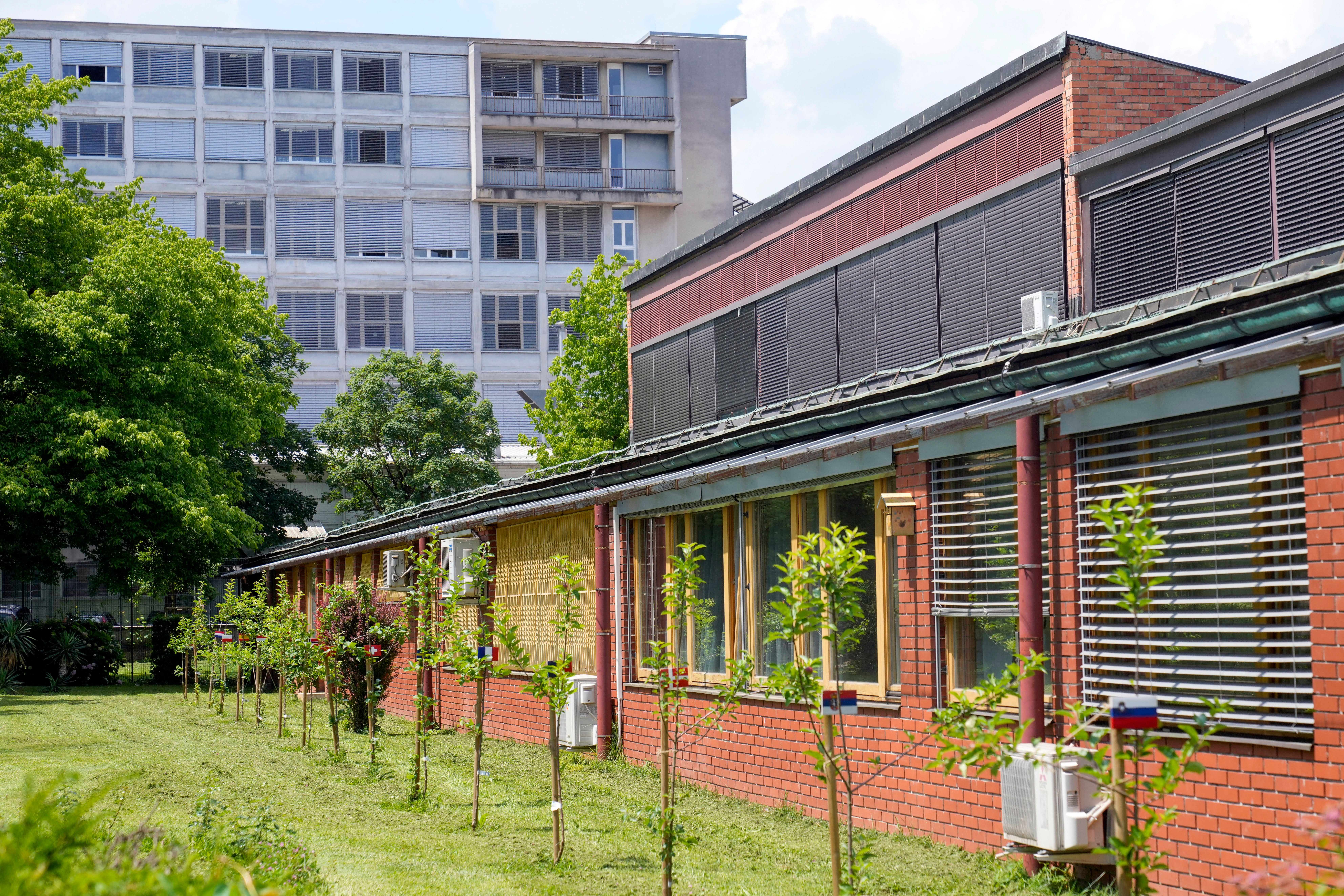 NBA Finals Doncic Slovenian Hero Basketball