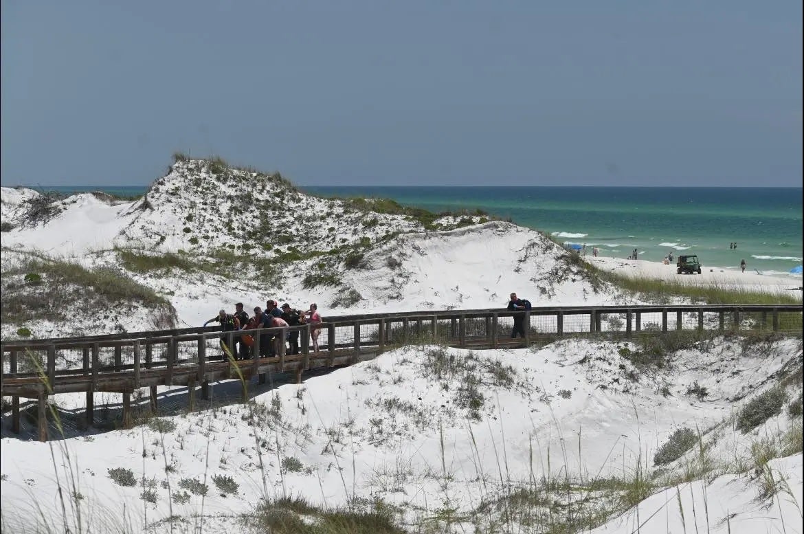 Two doctors rushed to help a 15-year-old after she was bitten by a shark along Rosemary Beach in Florida