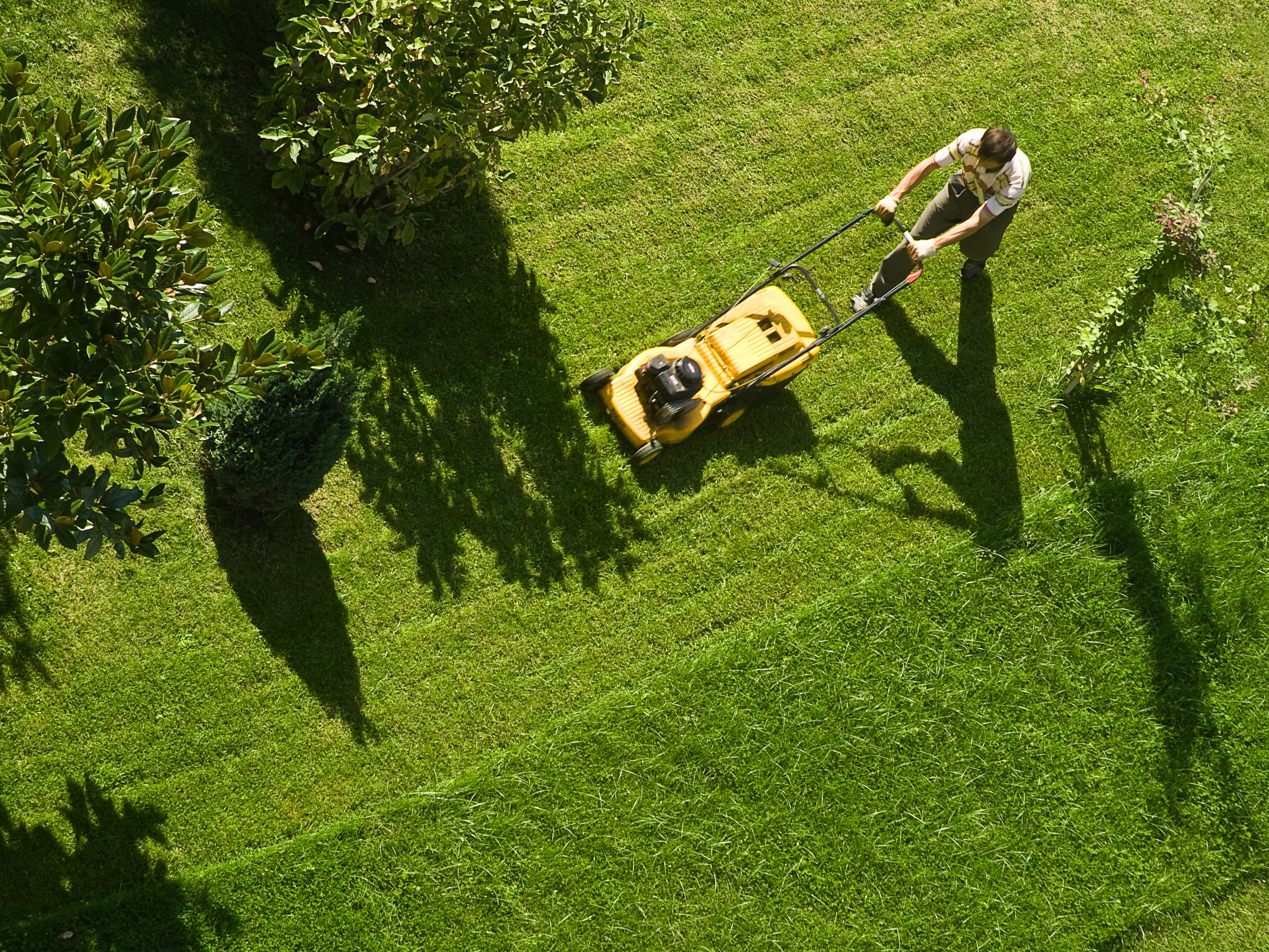 You wouldn’t want a scruffy living room, so why a scruffy lawn?