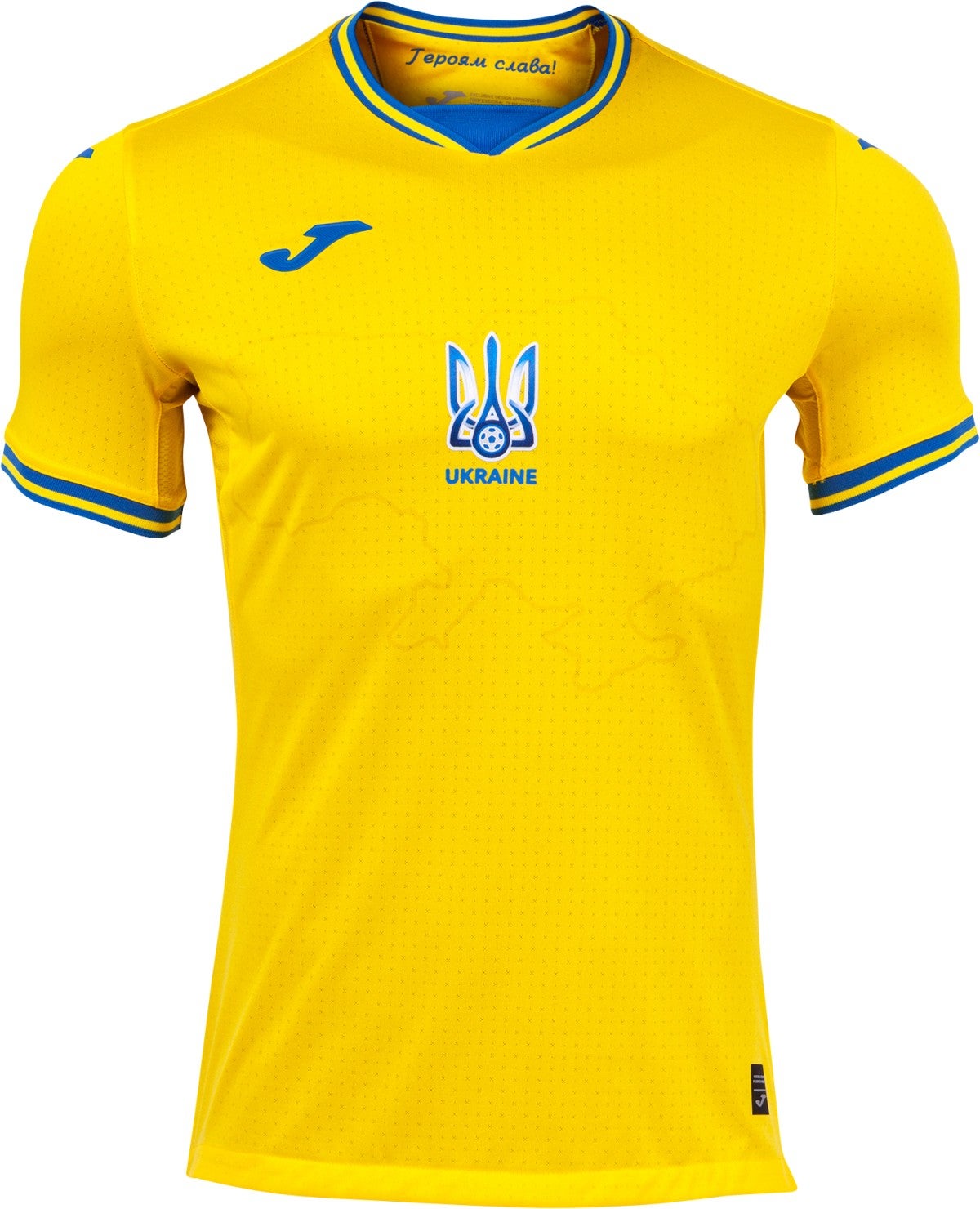 Ukraine home