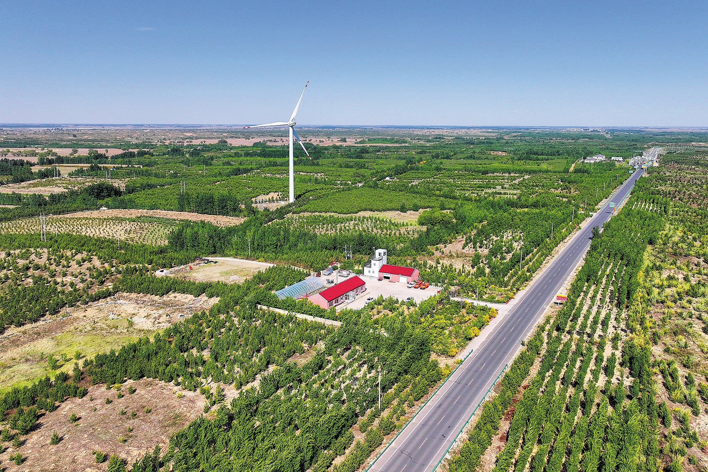 A treated area of Horqin Sandy Land in Tongliao in May