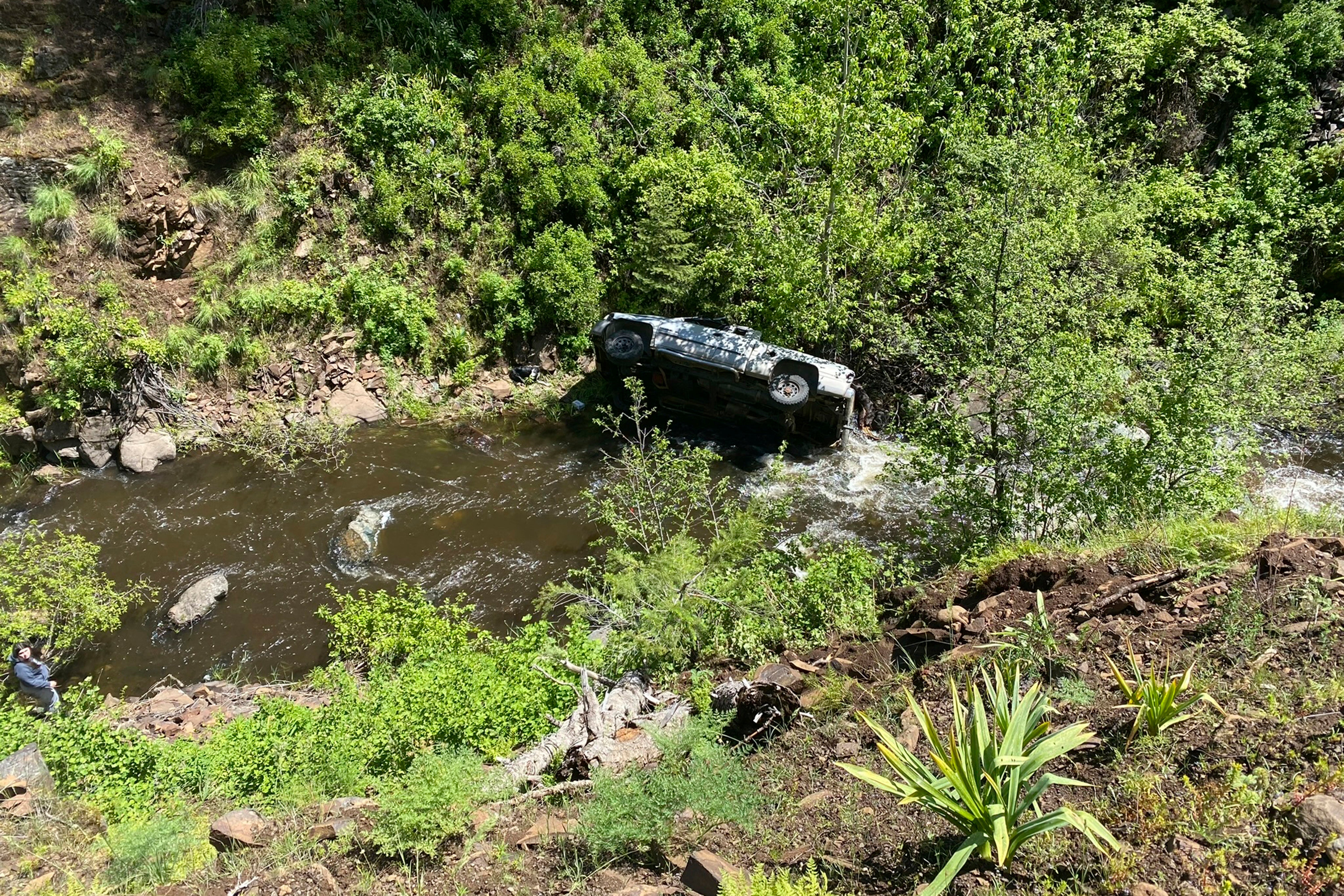 Oregon Car Crash Rescue Dog