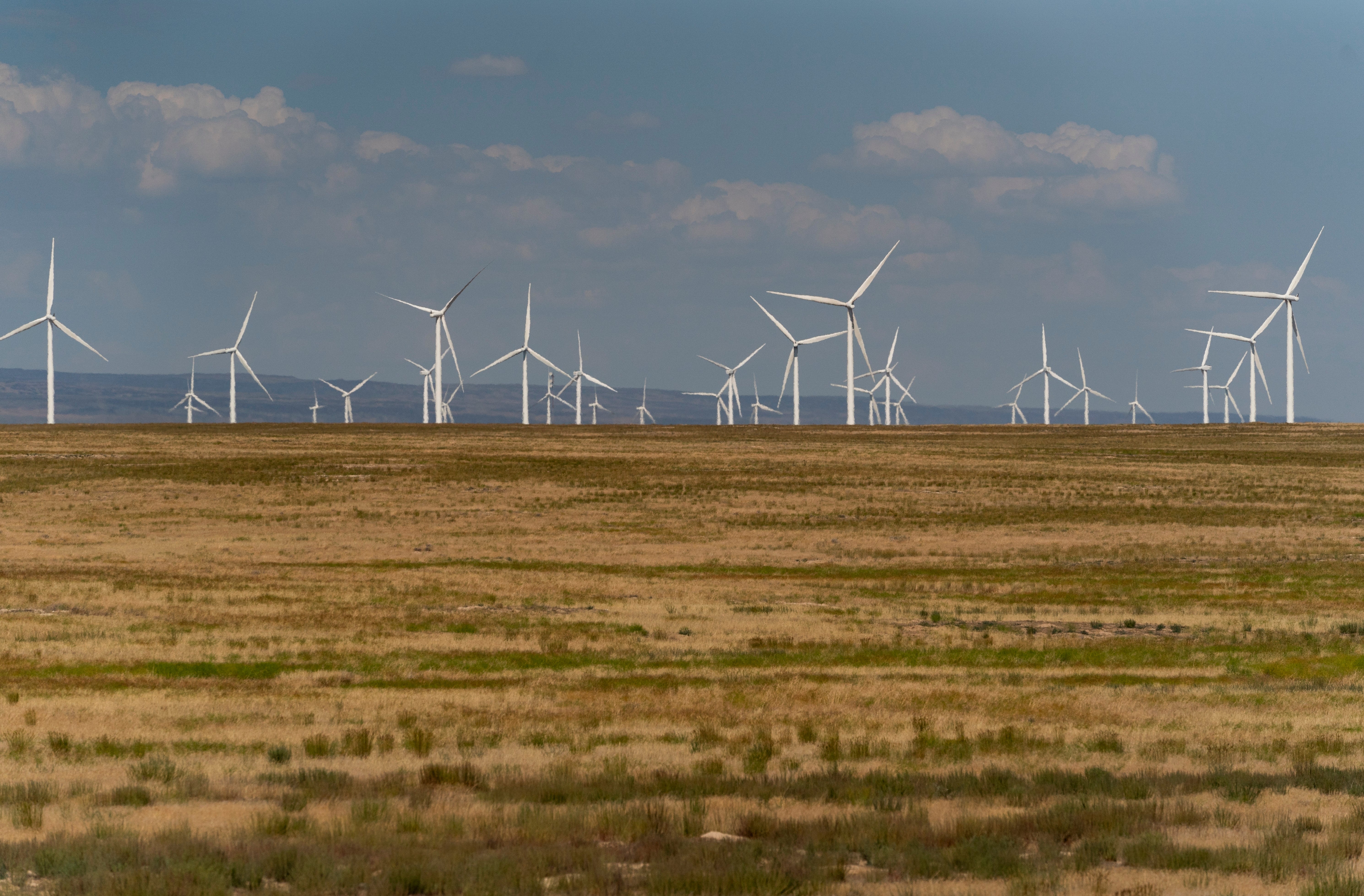 Wind Farm Environmental Review