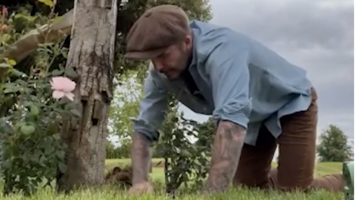 Golden balls and green fingers: Beckham in his beloved garden