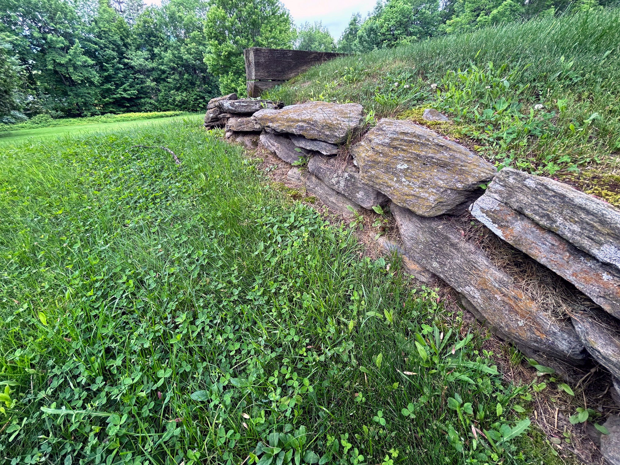 Gardening-Lawn Compromises