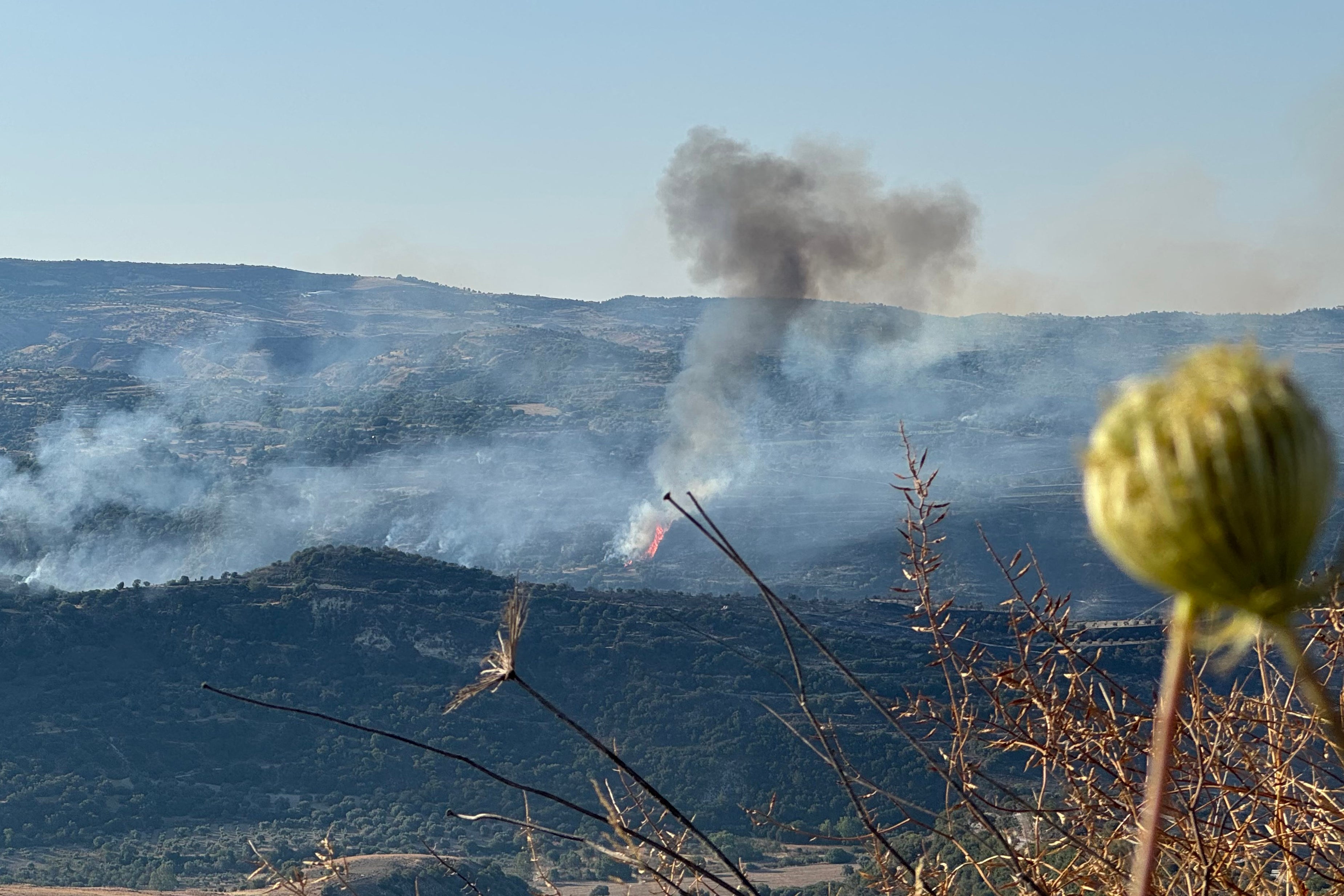 A fire burns in a forest in the Cypriot village of Psathi on June 12, 2024