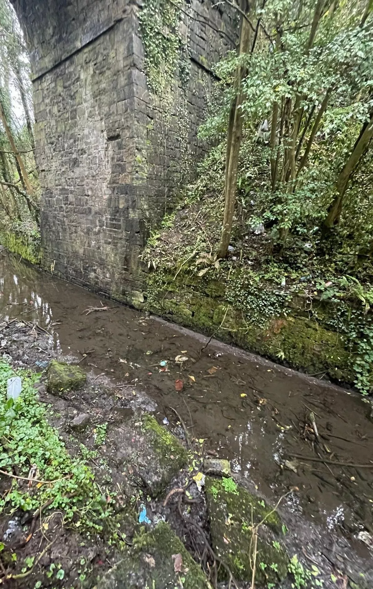 The Ulster canal where Kelly was found on St Patrick’s Day morning