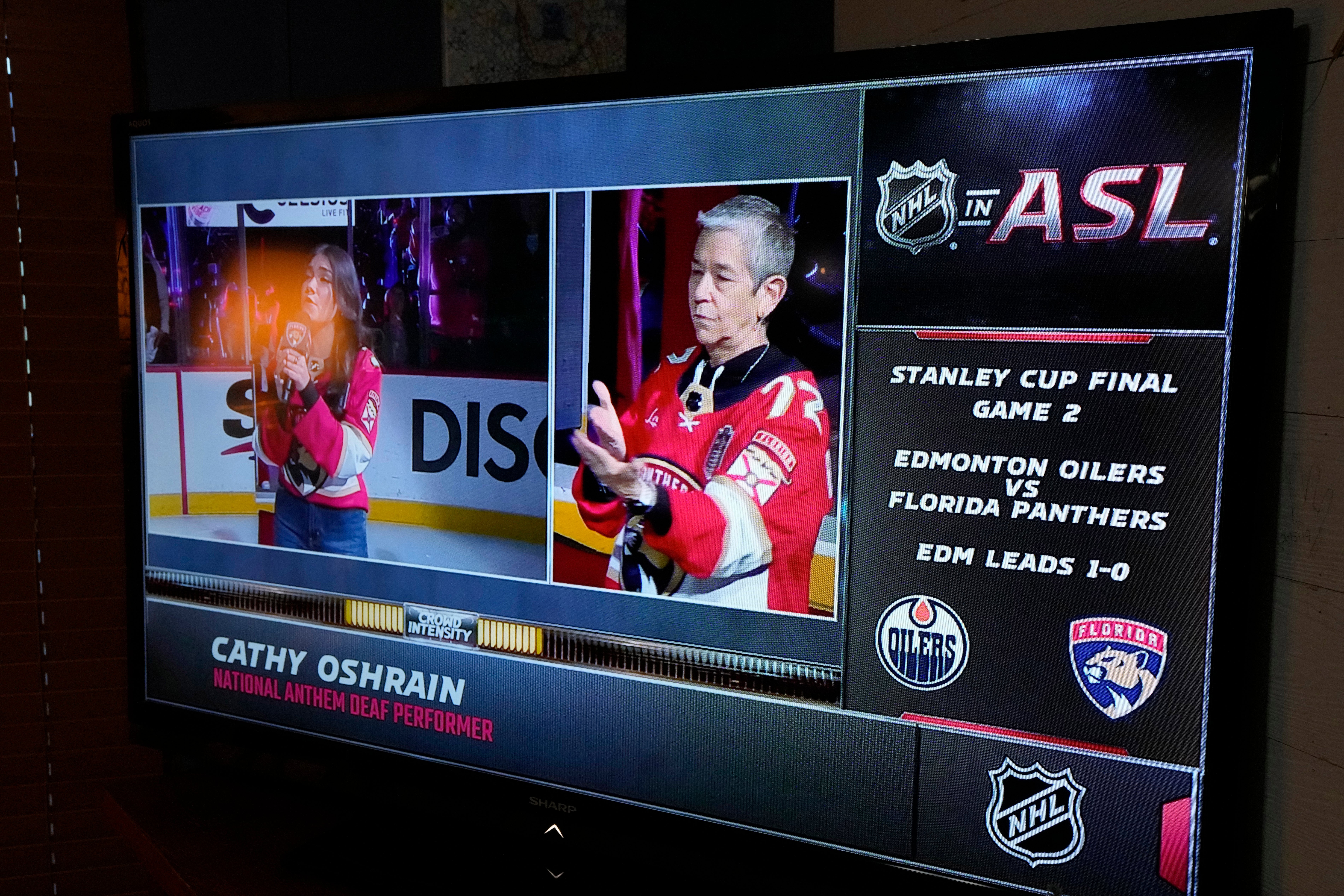 Stanley Cup Deaf Broadcasts Hockey