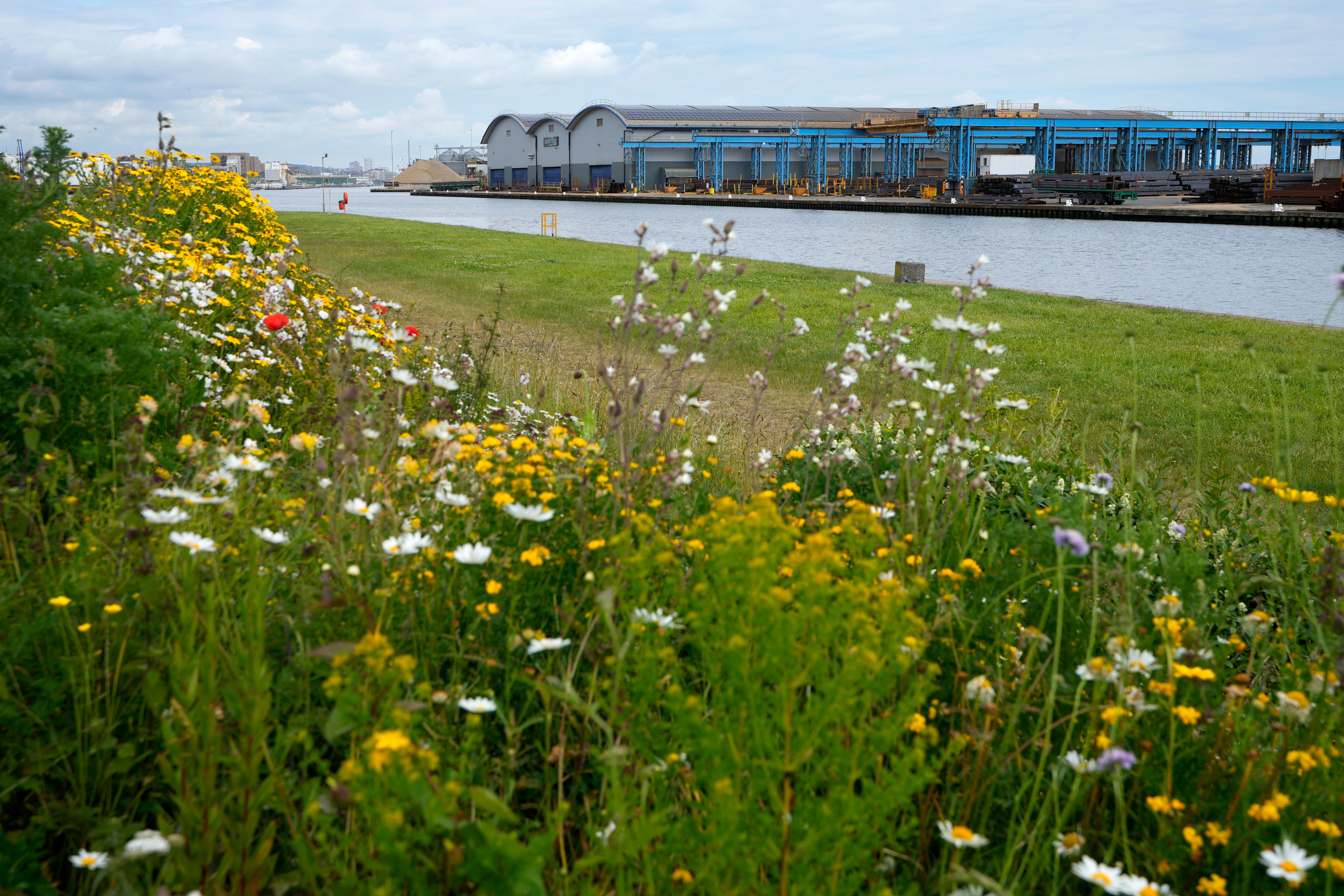A view of the Barrett Steel factory with solar panels covering the roof in Shoreham Port, East Sussex