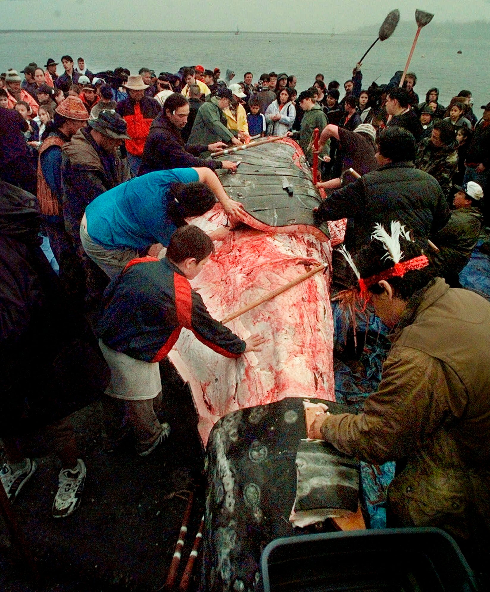 Washington Tribe Whaling