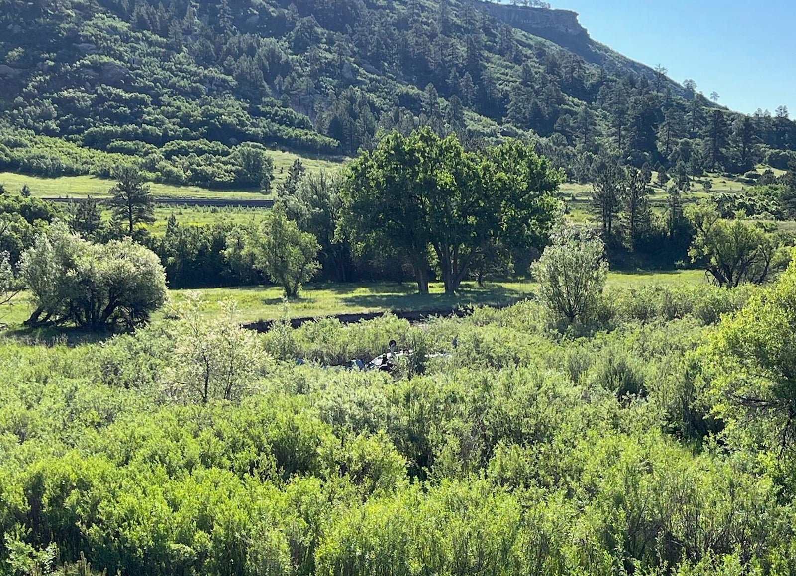 Plane Crash Colorado