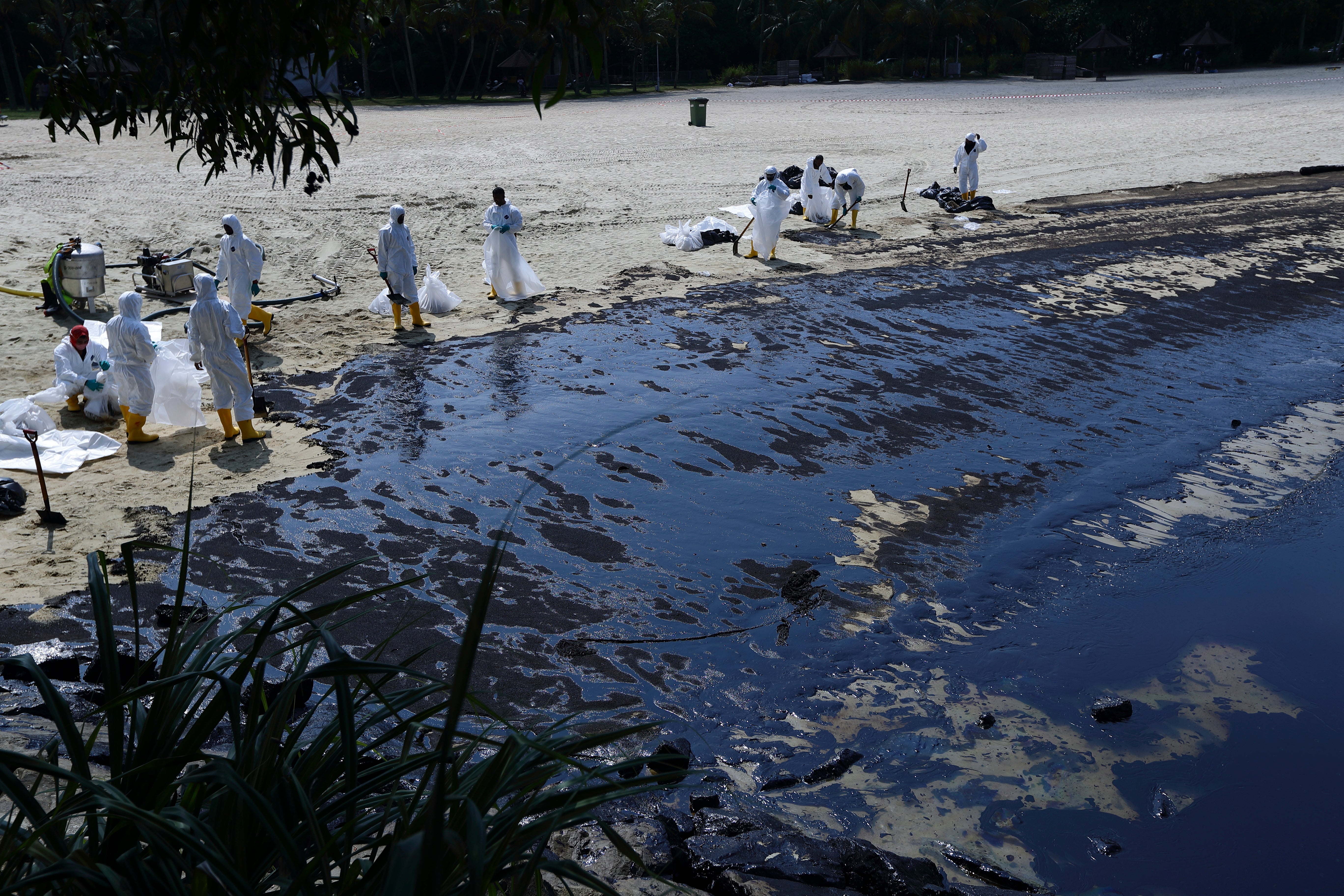 Workers clean oil spill along Sentosa's Tanjong Beach area in Singapore