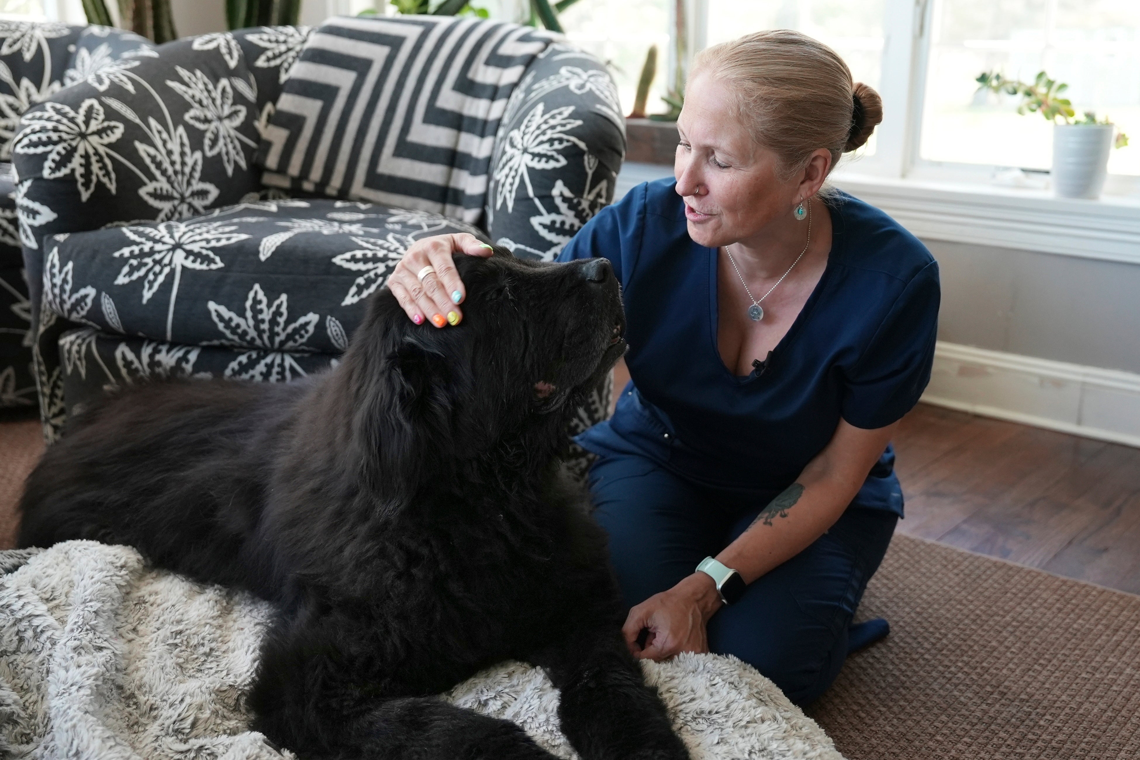 Wellness End of Life Care Pets