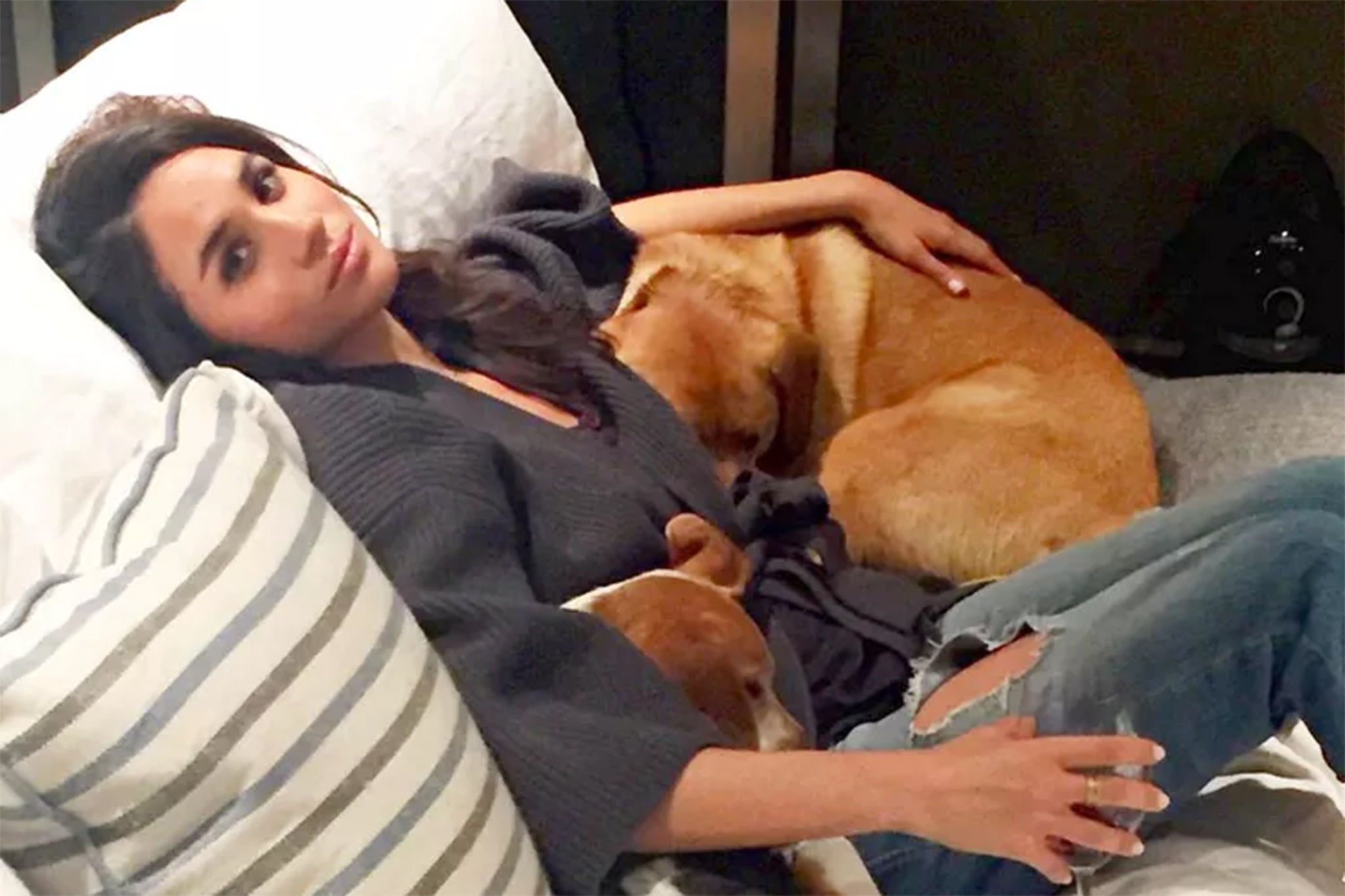 Homemade gourmet snacks for dogs the Meghan Markle way