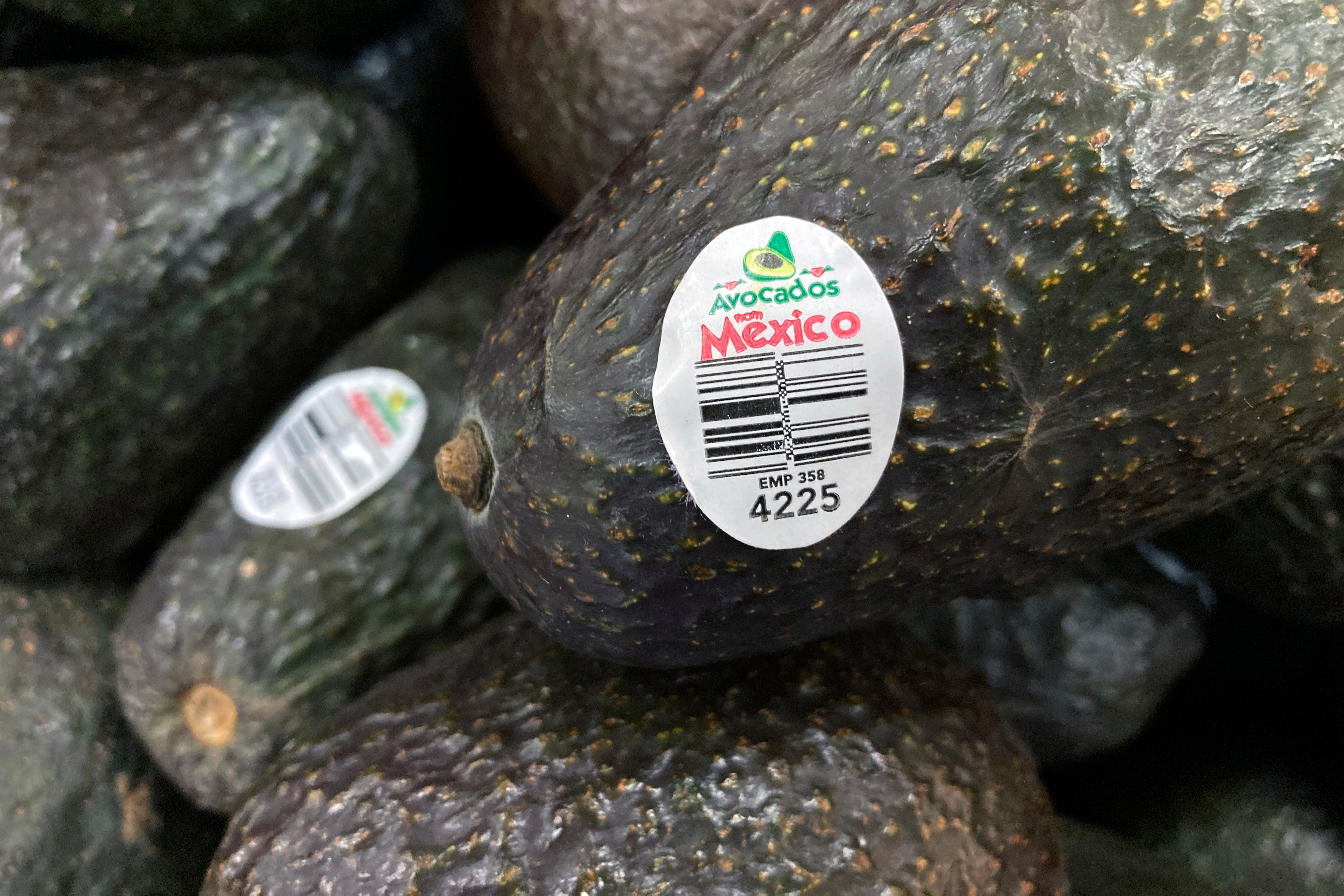 Mexican Avocados