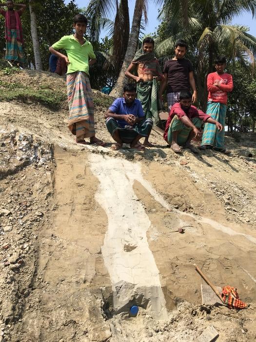 A classic sign of a landscape disrupted by an earthquake is a vein of sand that has been pushed up through darker sediments