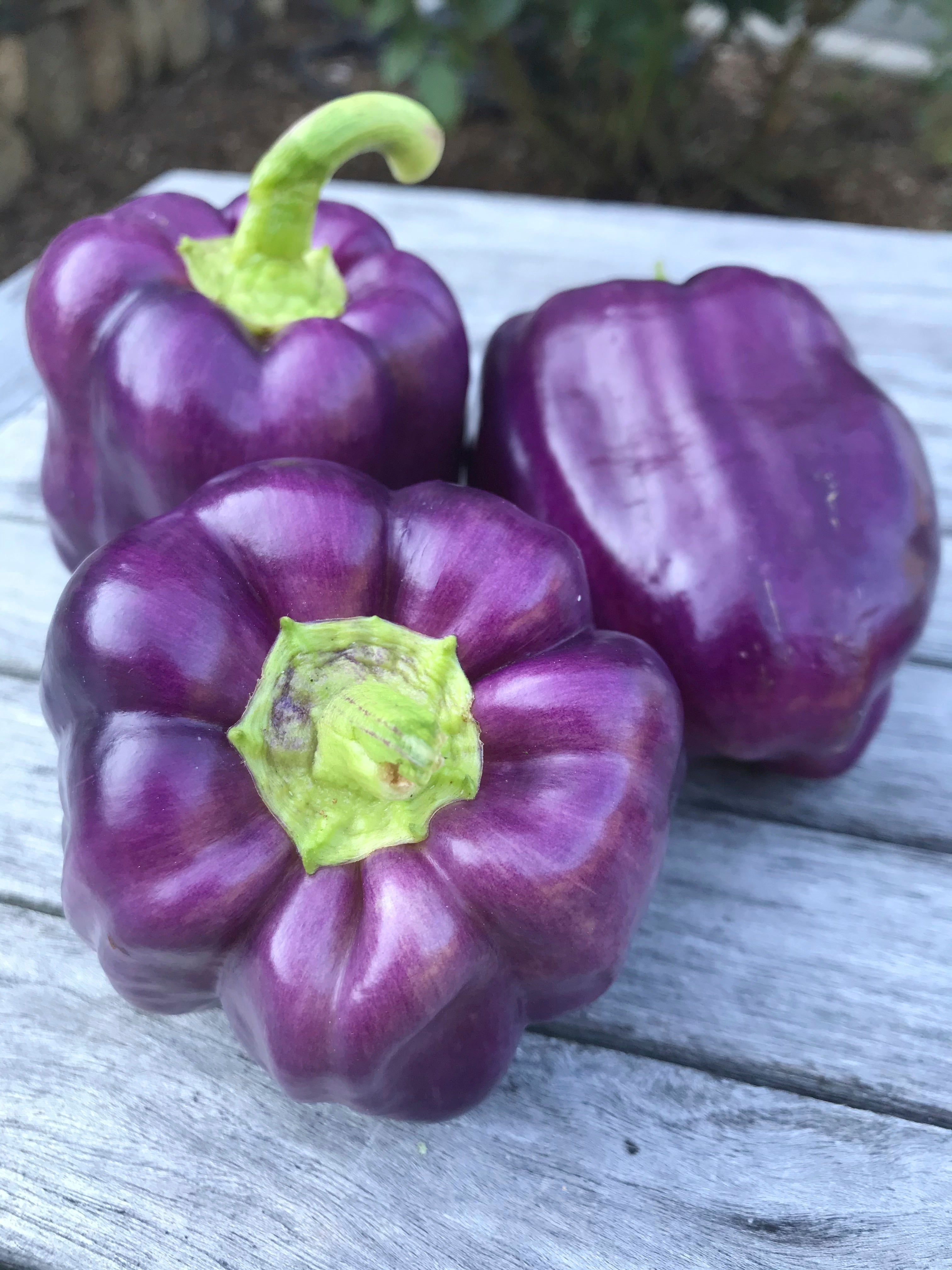 Be Well-Food-Seasonal Eating