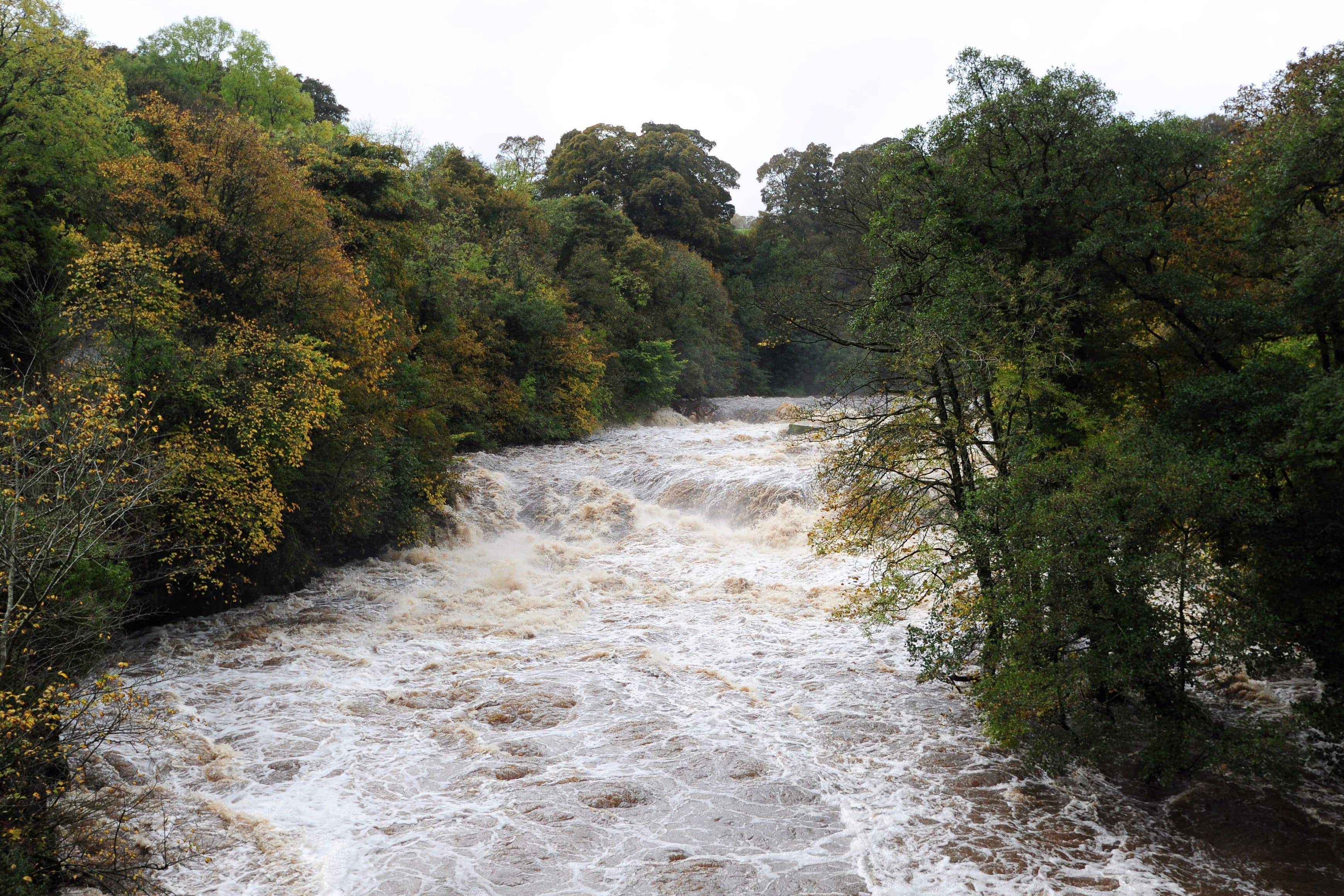 A general view of the fast flowing and swollen River Ure at Aysgarth Falls, North Yorkshire (Anna Gowthorpe/PA)