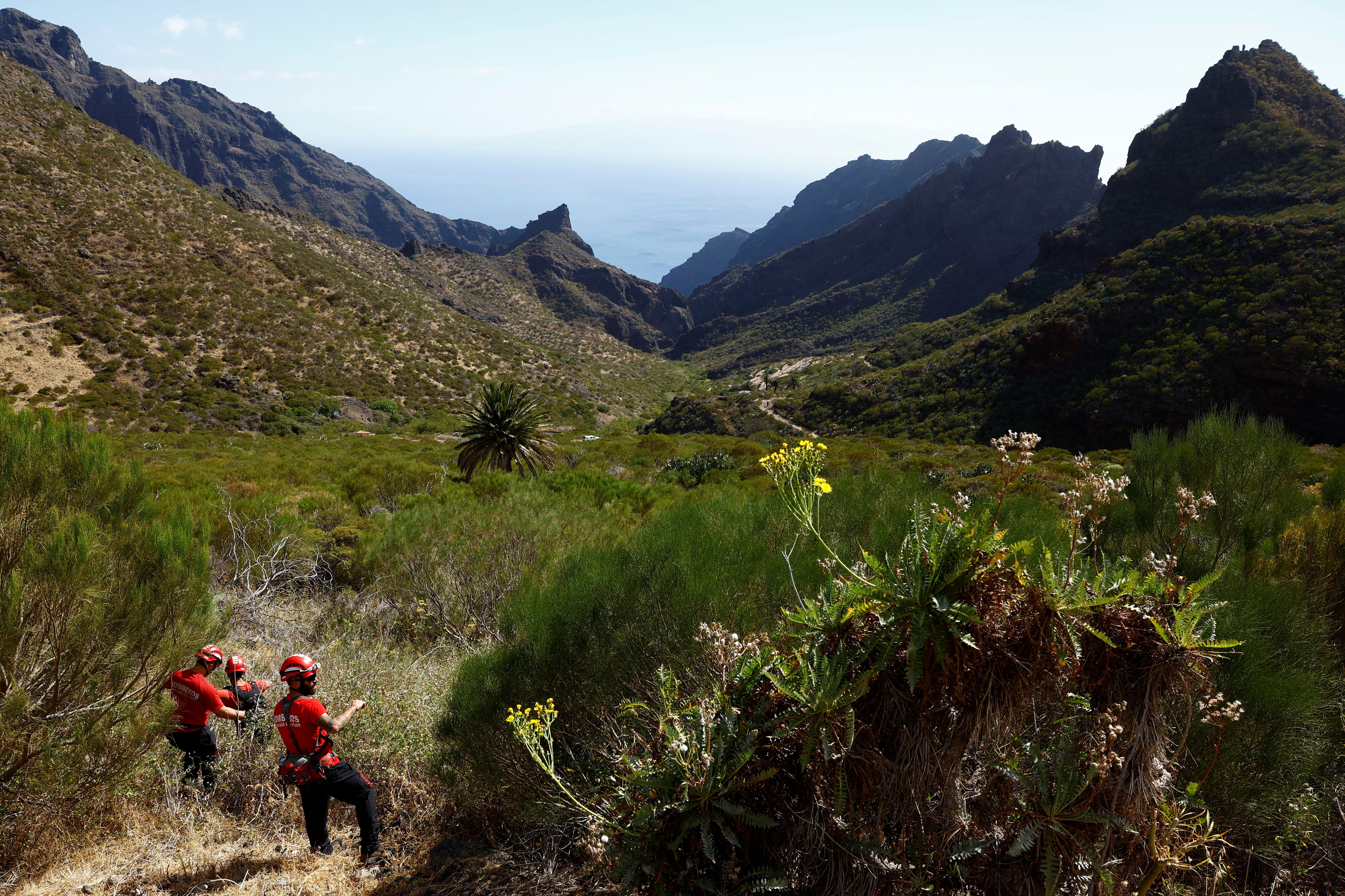 Firefighters search for the teenager in the Rural de Teno national park