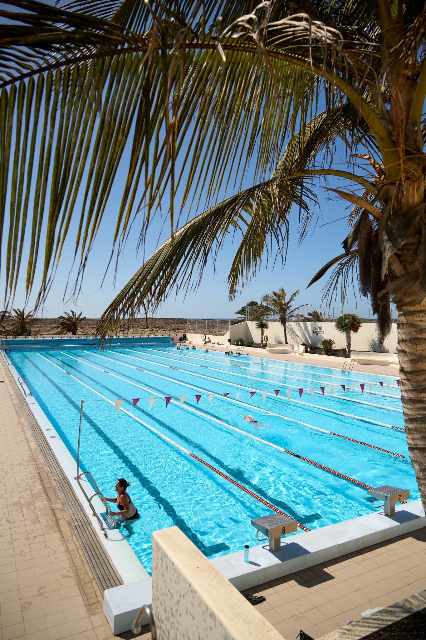 The north pool and surrounded by palms with the ocean in the background