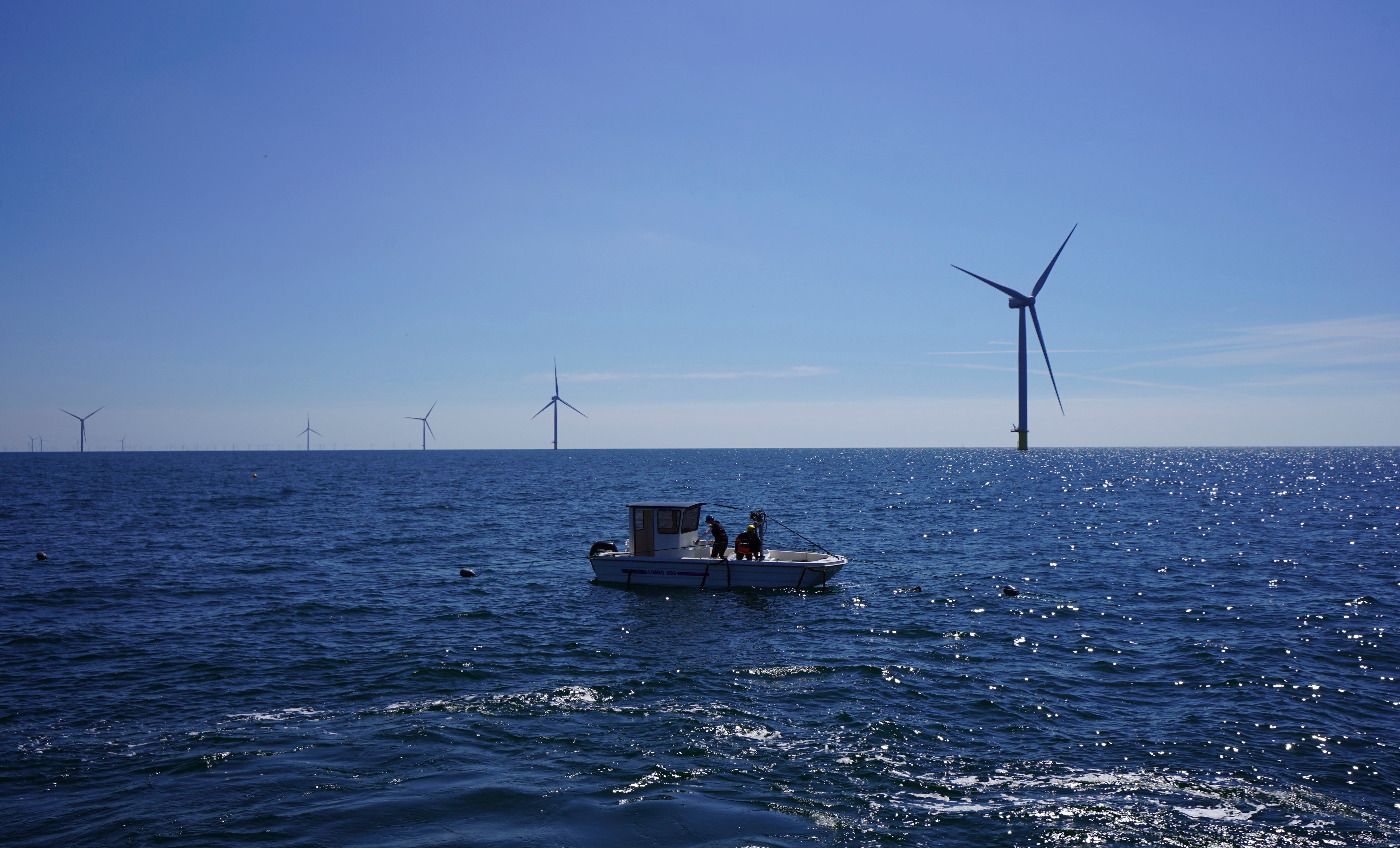 Denmark Wind Park Seafood
