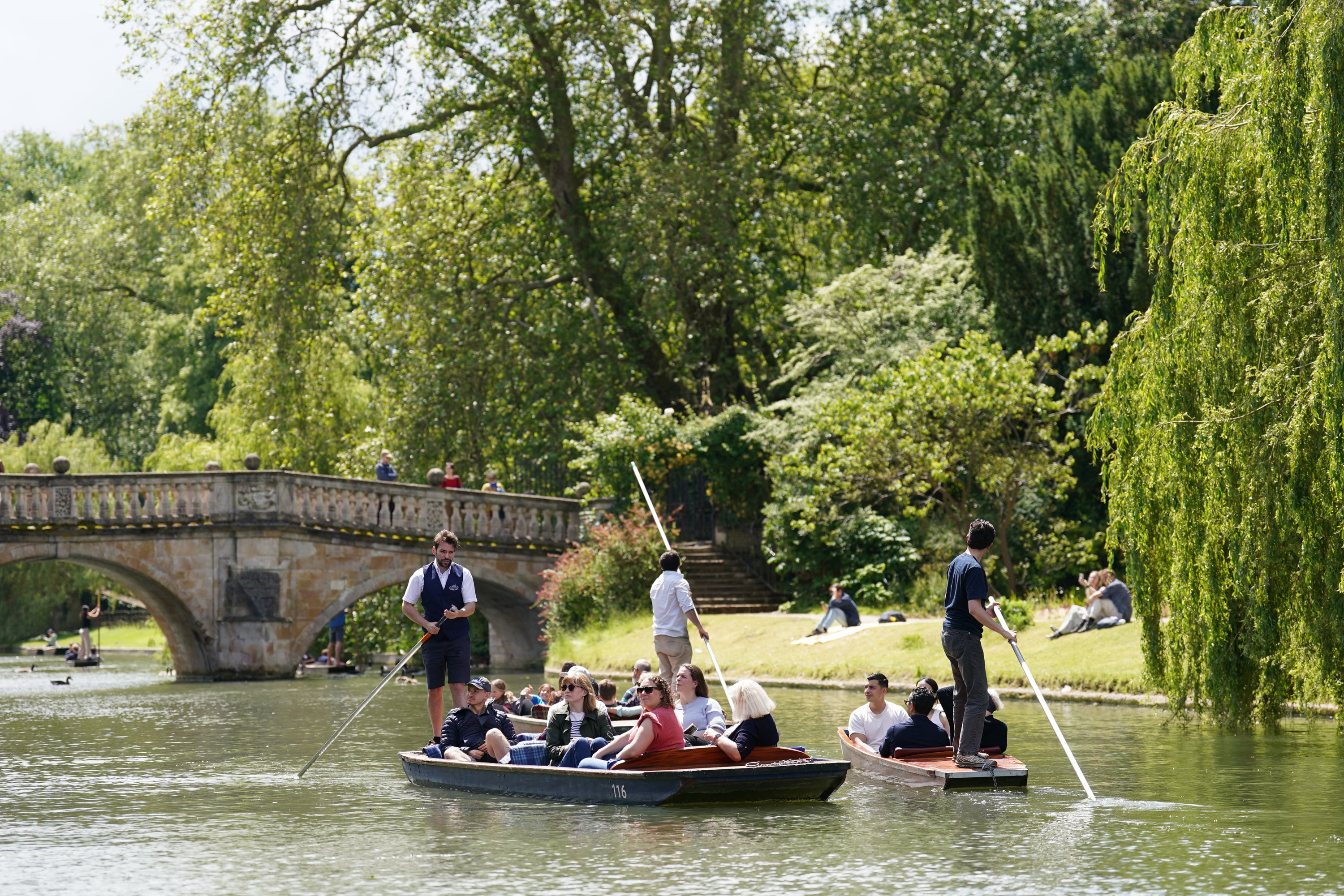 People punting on the River Cam in Cambridge.