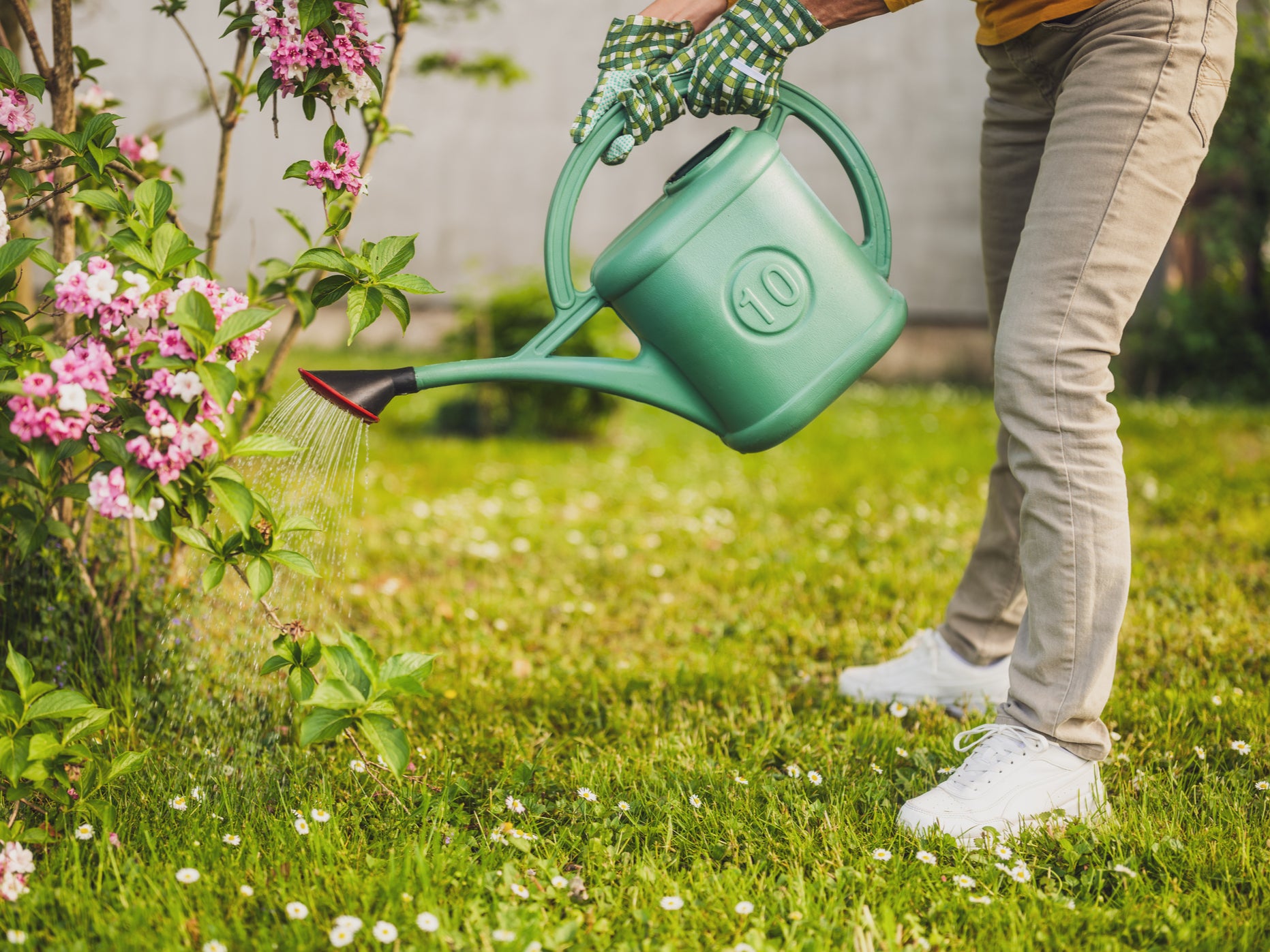 A woman watering plants in her garden (Getty Images)