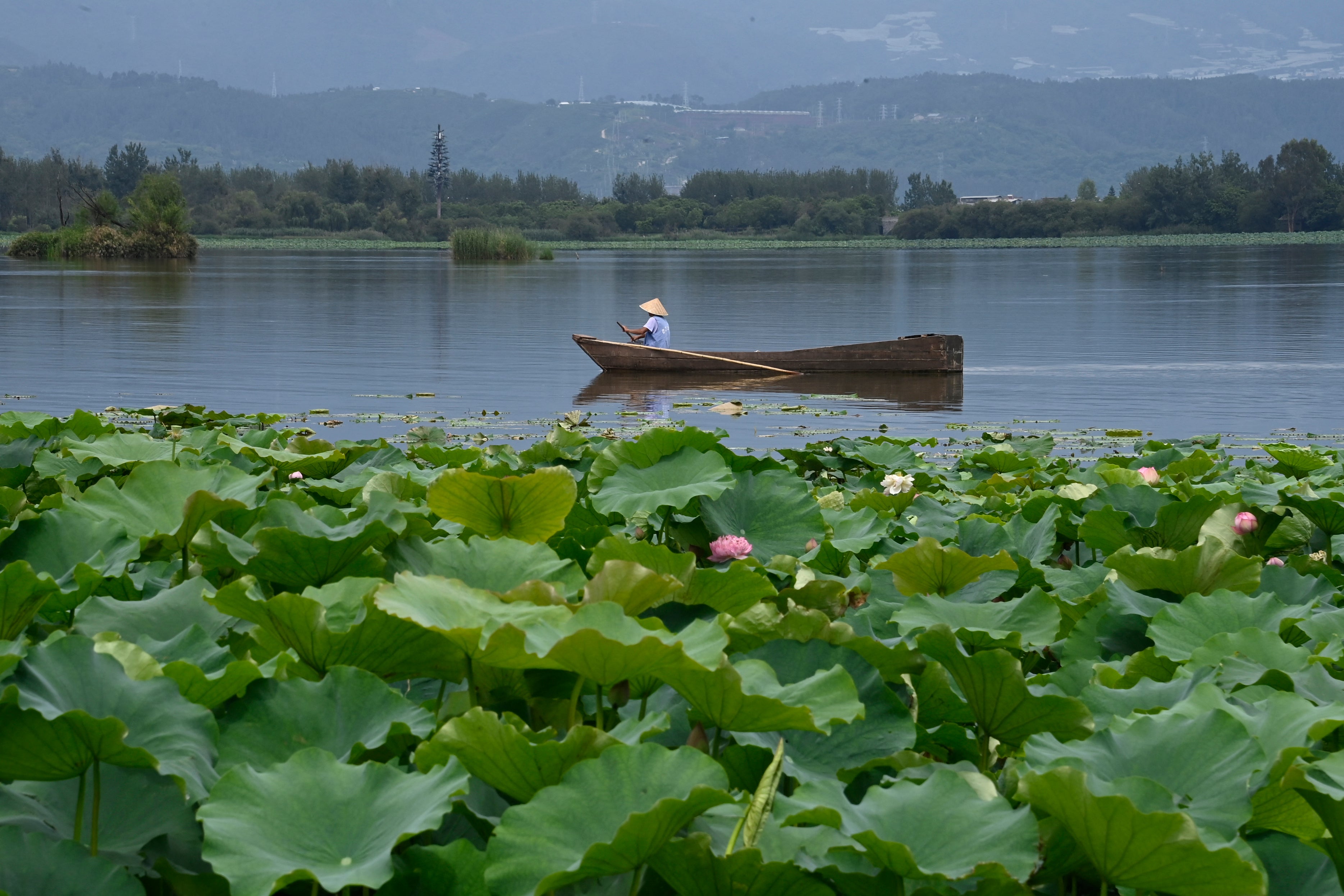 A man rows a boat at the Qionghai National Tourism Resort in Xichang, in China's southwestern Sichuan province