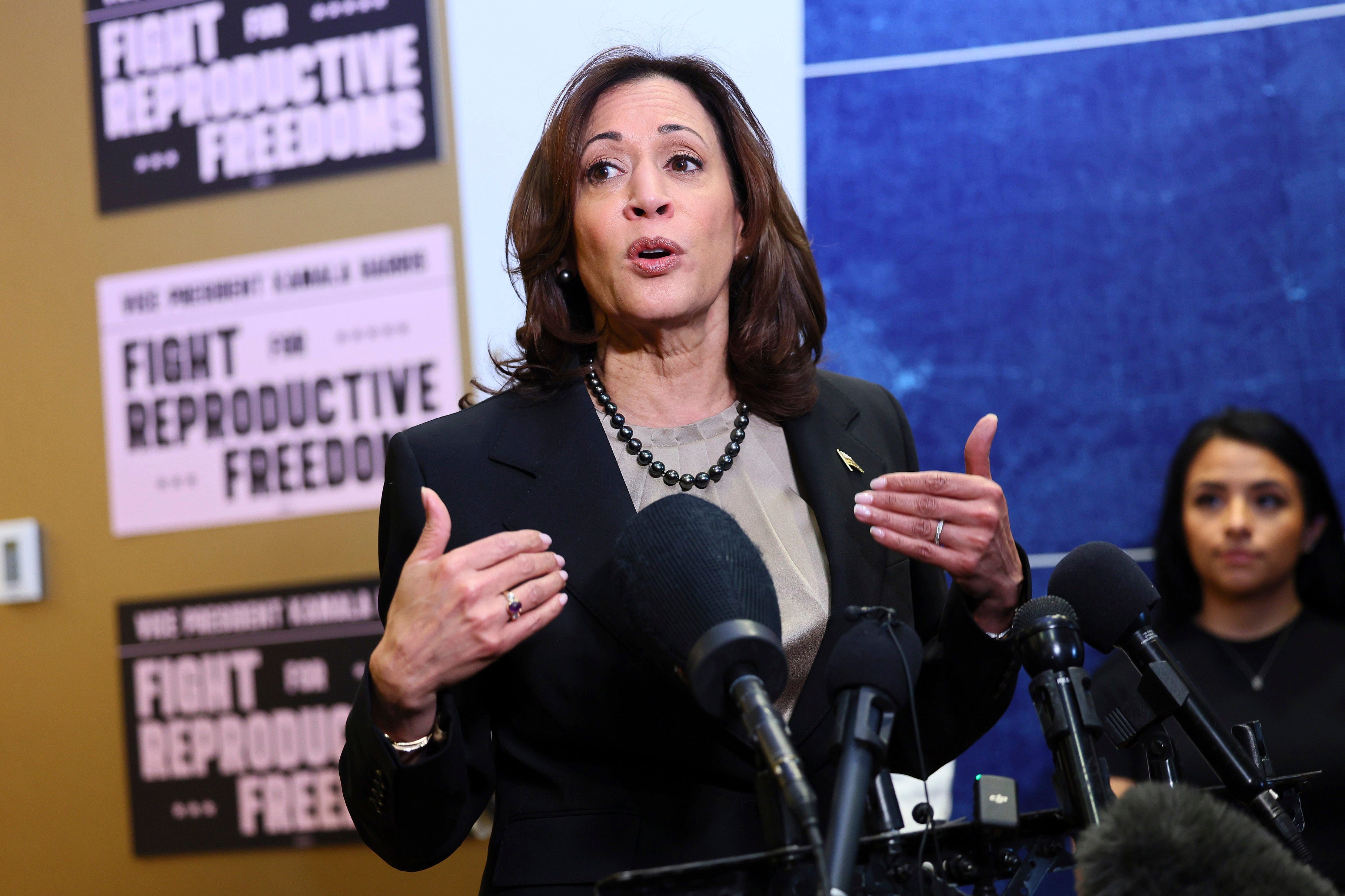 Vice-President Kamala Harris would be the obvious person to step in to fill Biden’s shoes given her constitutional duties – but her run for the nomination in 2020 was notably unsuccessful