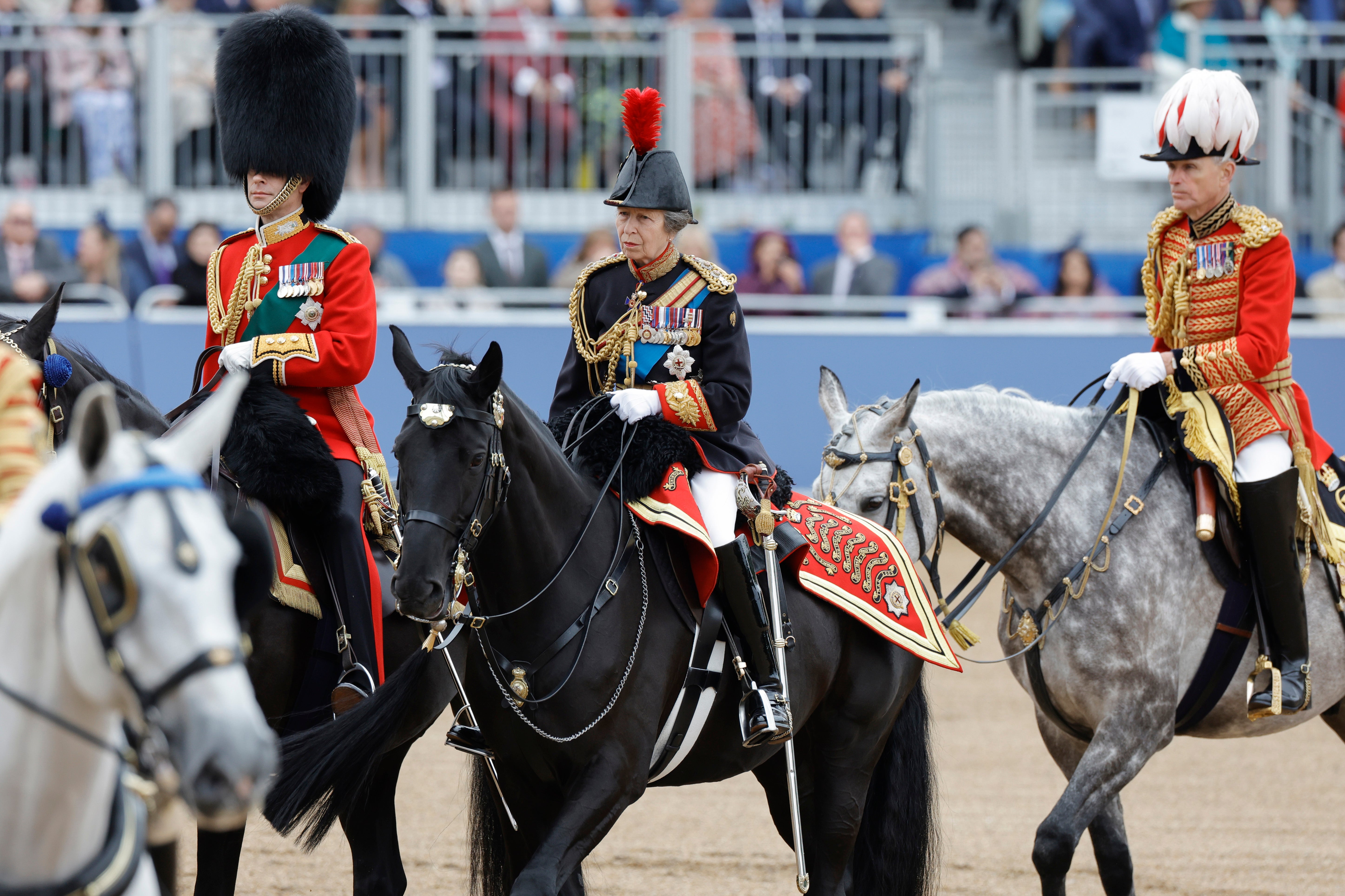 Princess Anne pictured during Trooping the Colour at Horse Guards Parade earlier this month