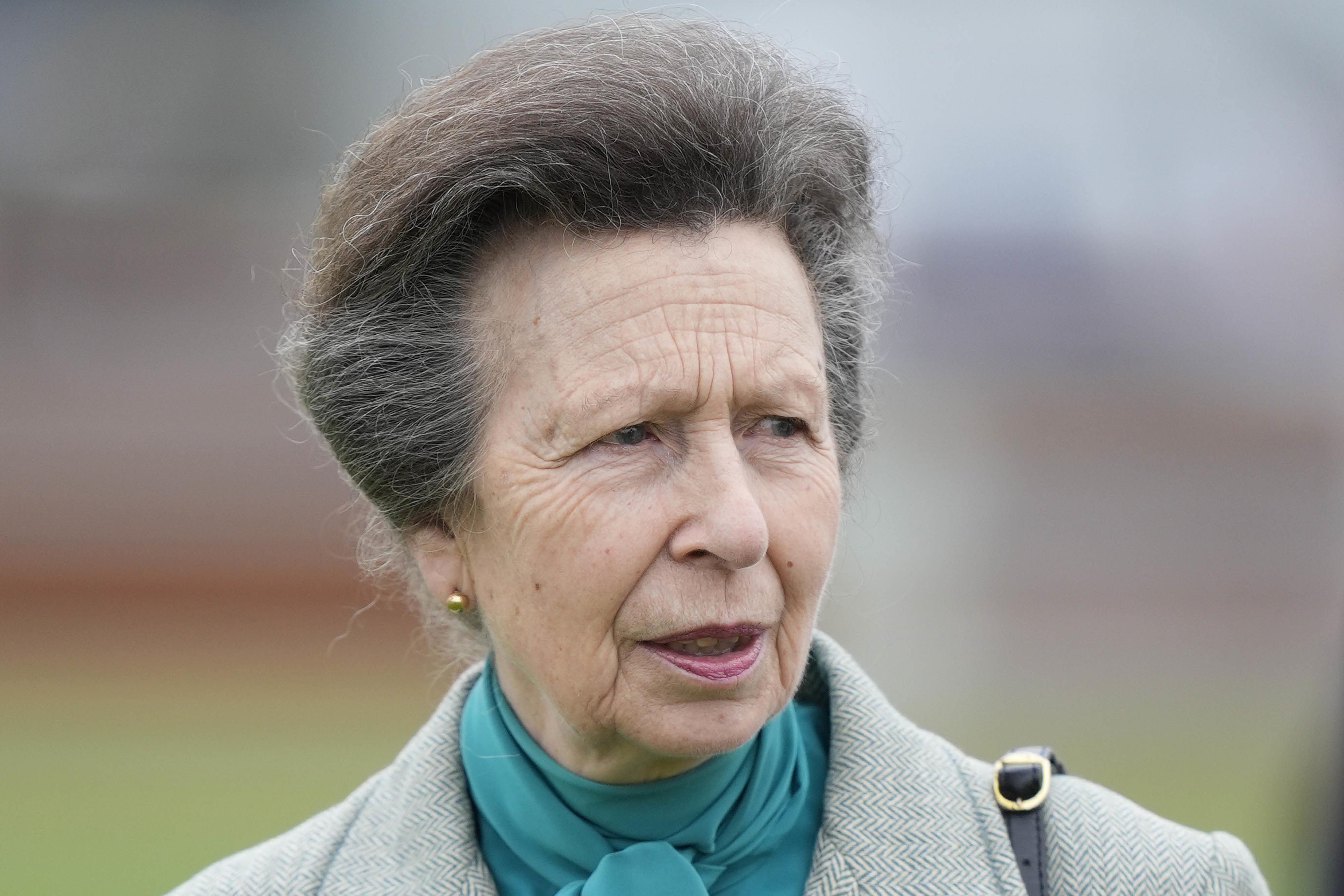 The Princess Royal at the Royal Windsor Horse Show in Windsor, Berkshire, in May (Andrew Matthews/PA)