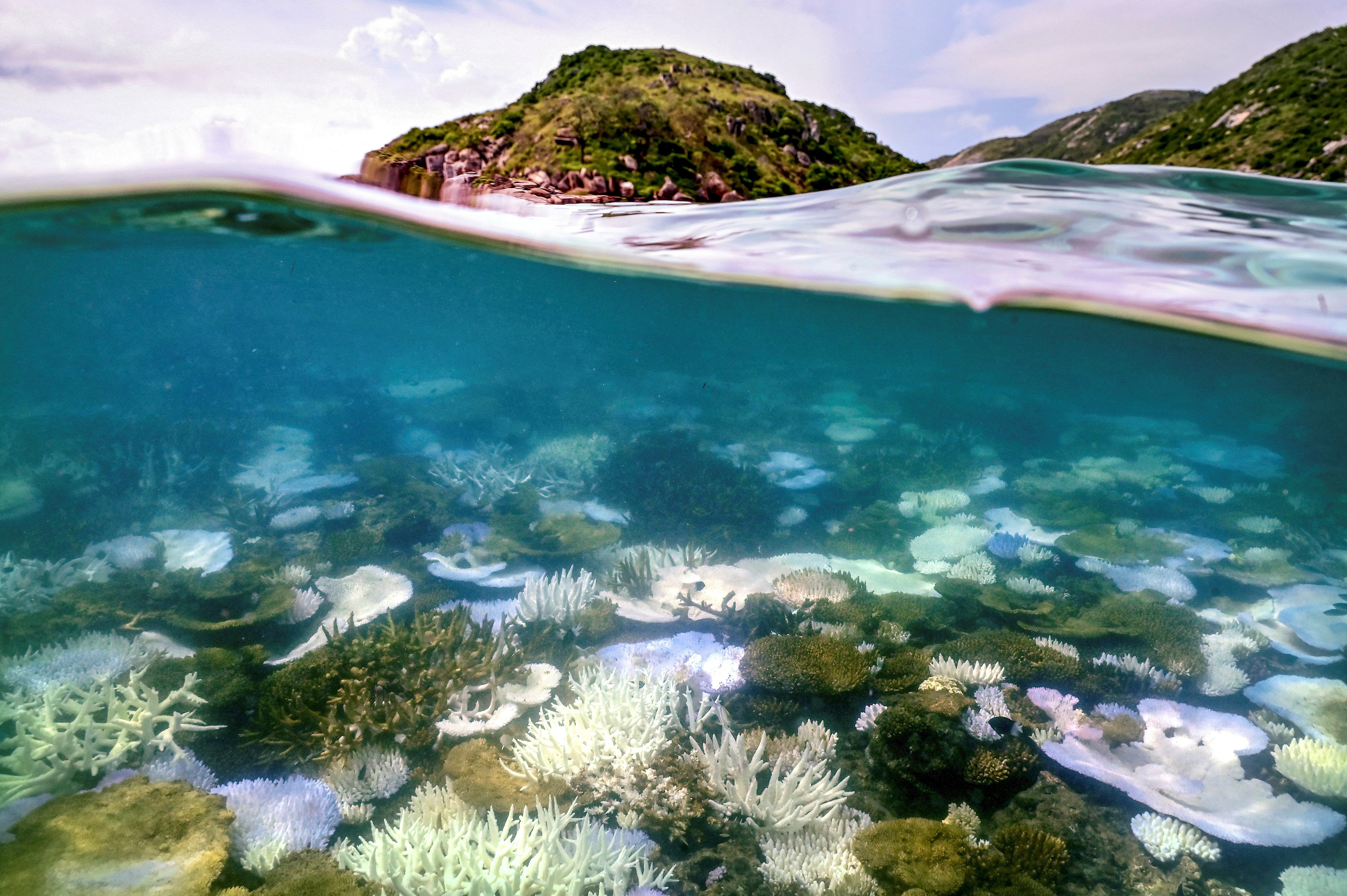 Bleached and dead coral around Lizard Island on the Great Barrier Reef, located 270 kilometres (167 miles) north of the city of Cairns. Australia's famed Great Barrier Reef is teetering on the brink, suffering one of the most severe coral bleaching events on record
