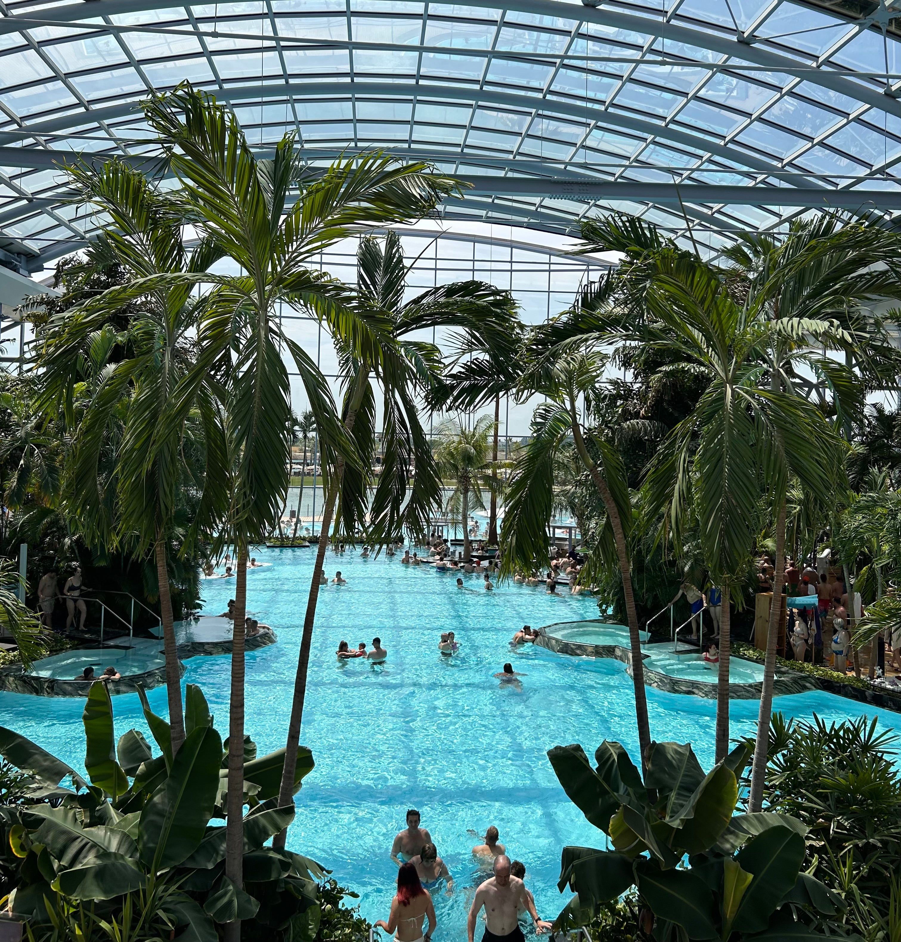 The Palm at Therme Bucharest